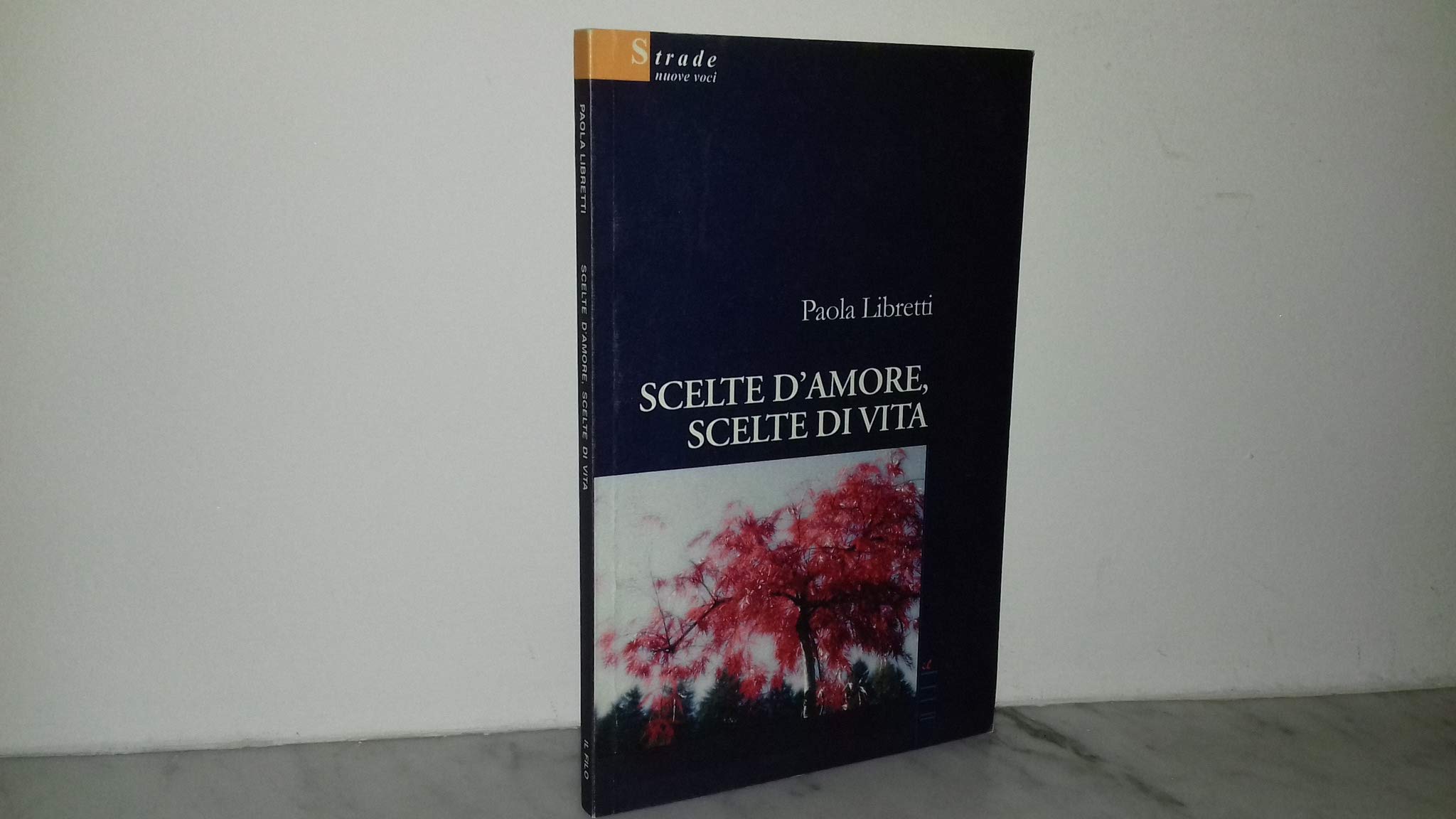 Scelte d'amore, scelte di vita (Nuove voci) Contemporary literature
