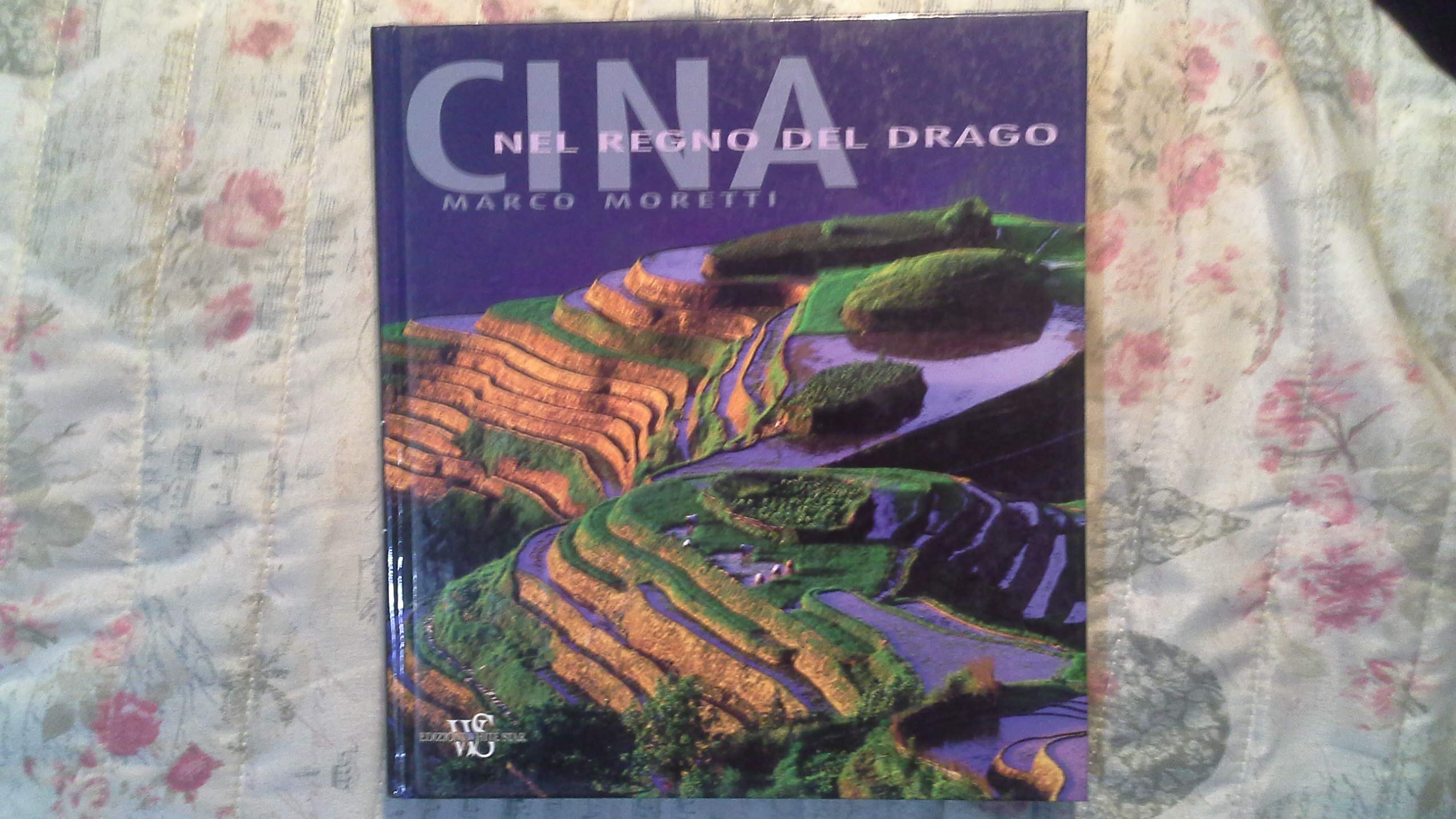 Cina. Nel regno del drago (Viaggi e turismo) Leisure, Home & Garden Books