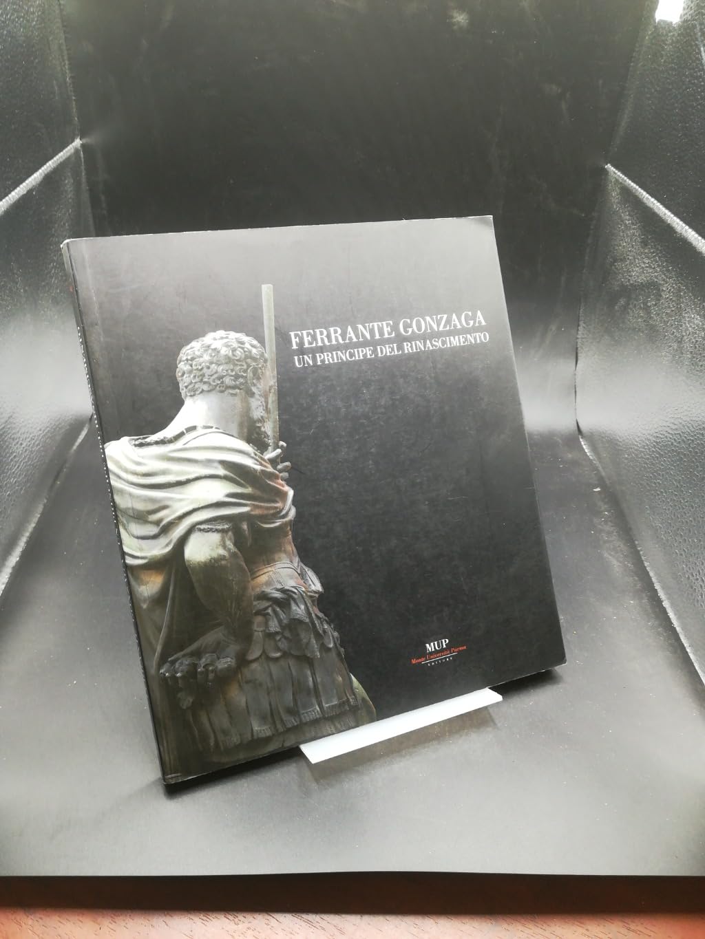 Ferrante Gonzaga. Un principe del Rinascimento book