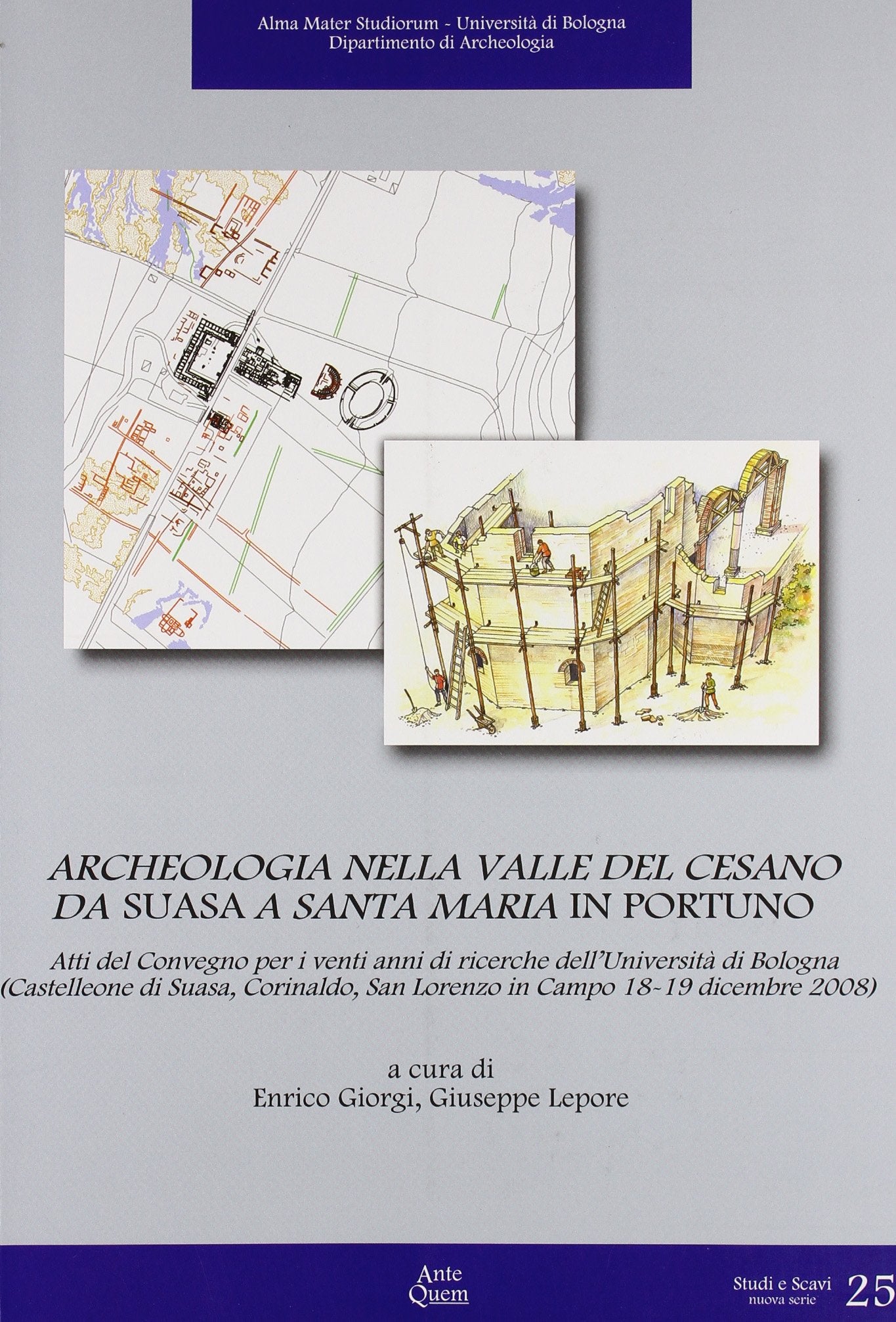 Archeologia nella valle del Cesano da Suasa a Santa Maria in Portuno. Atti del Convegno per i venti anni di ricerche dell'Università di Bologna... book