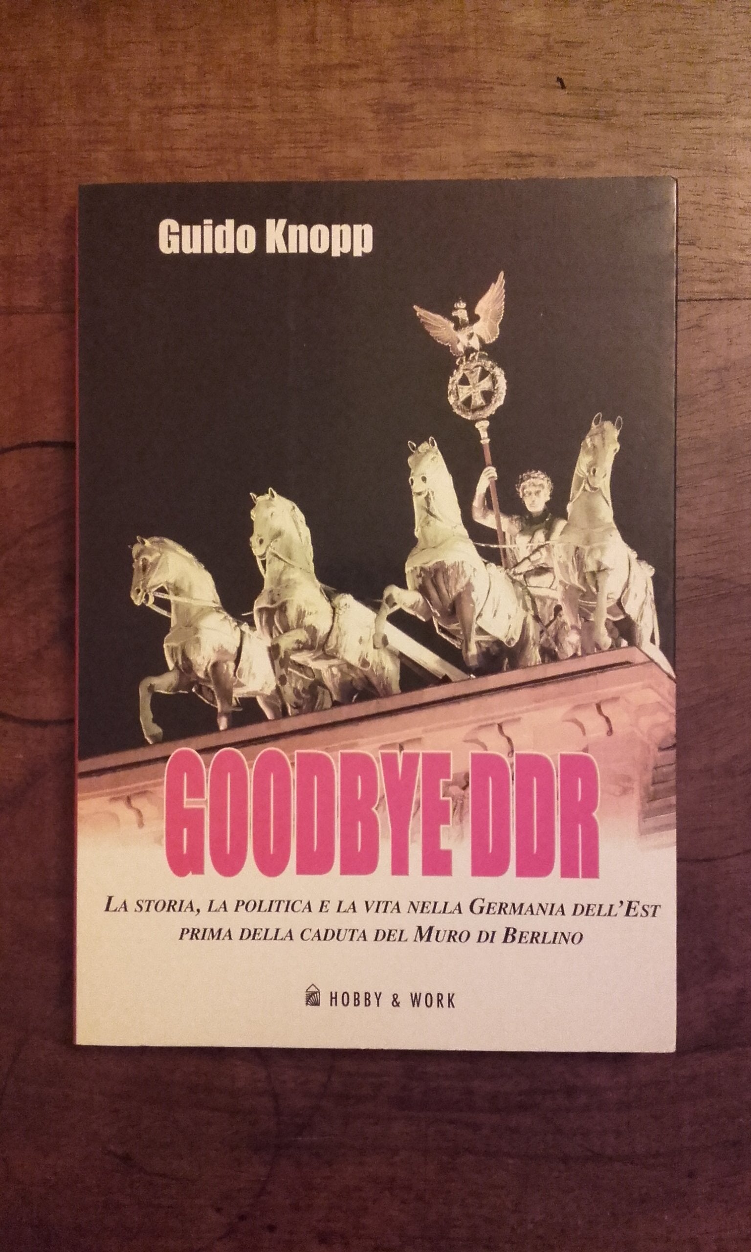 Goodbye DDR. La storia, la politica e la vita nella Germania dell'Est prima della caduta del muro di Berlino Social Sciences