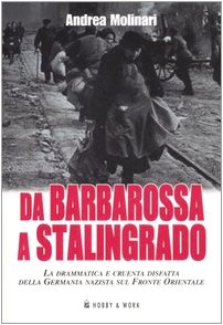 Da Barbarossa a Stalingrado. La drammatica e cruente disfatta della Germania nazista sul fronte orientale (Saggi storici) Social Sciences