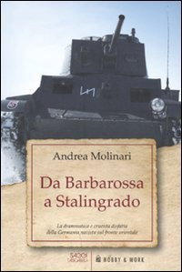 Da Barbarossa a Stalingrado. La drammatica e cruente disfatta della Germania nazista sul fronte orientale Social Sciences