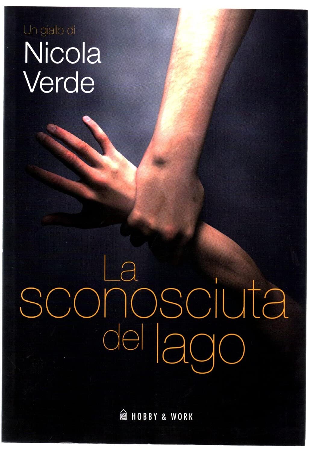La sconosciuta del lago book