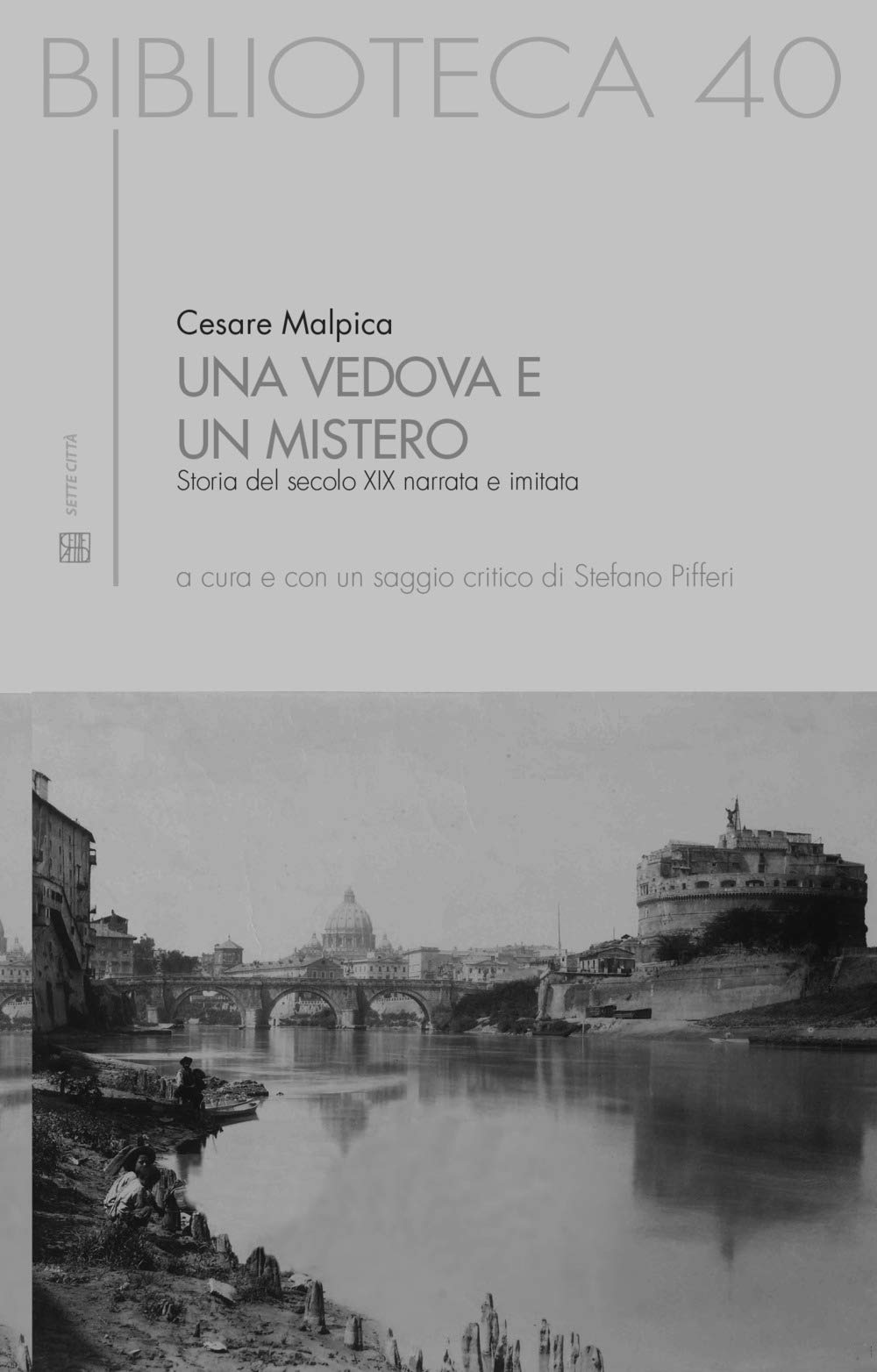 Una vedova e un mistero. Storia del secolo XIX narrata e imitata book
