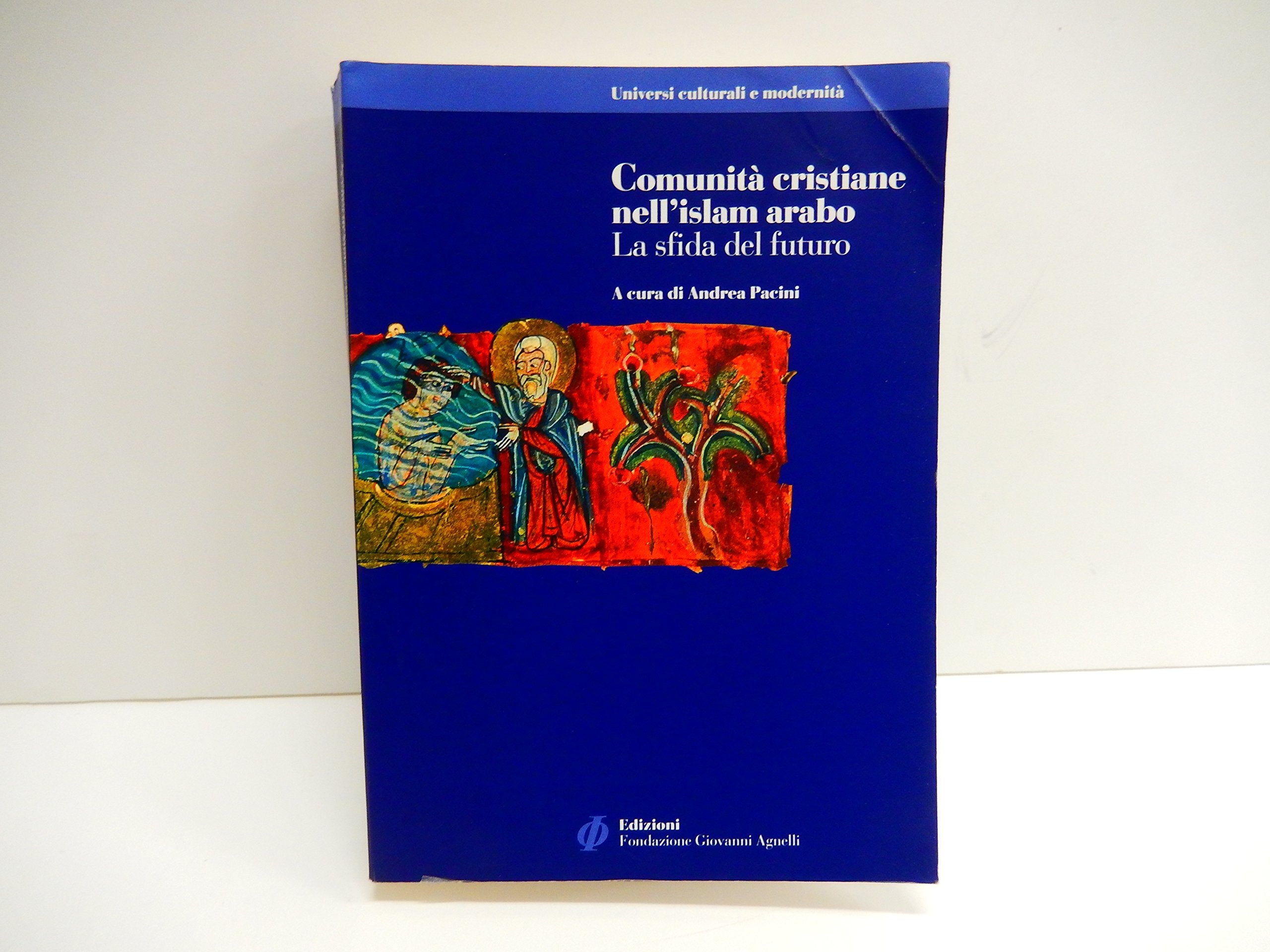 Comunità cristiane nell'Islam arabo. La sfida del futuro book