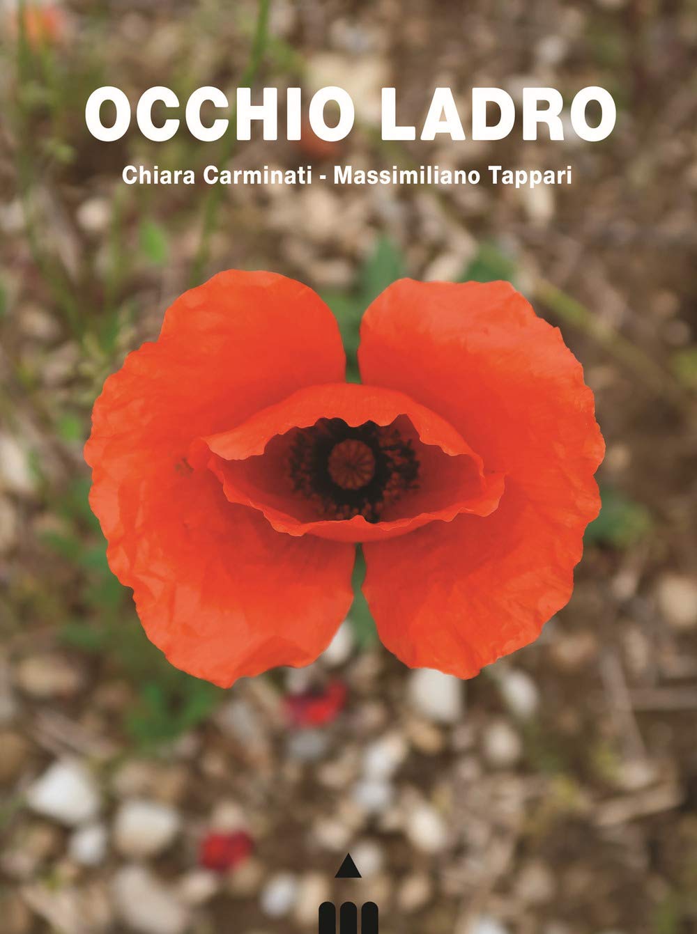 Occhio ladro (Versi diversi) Poetry