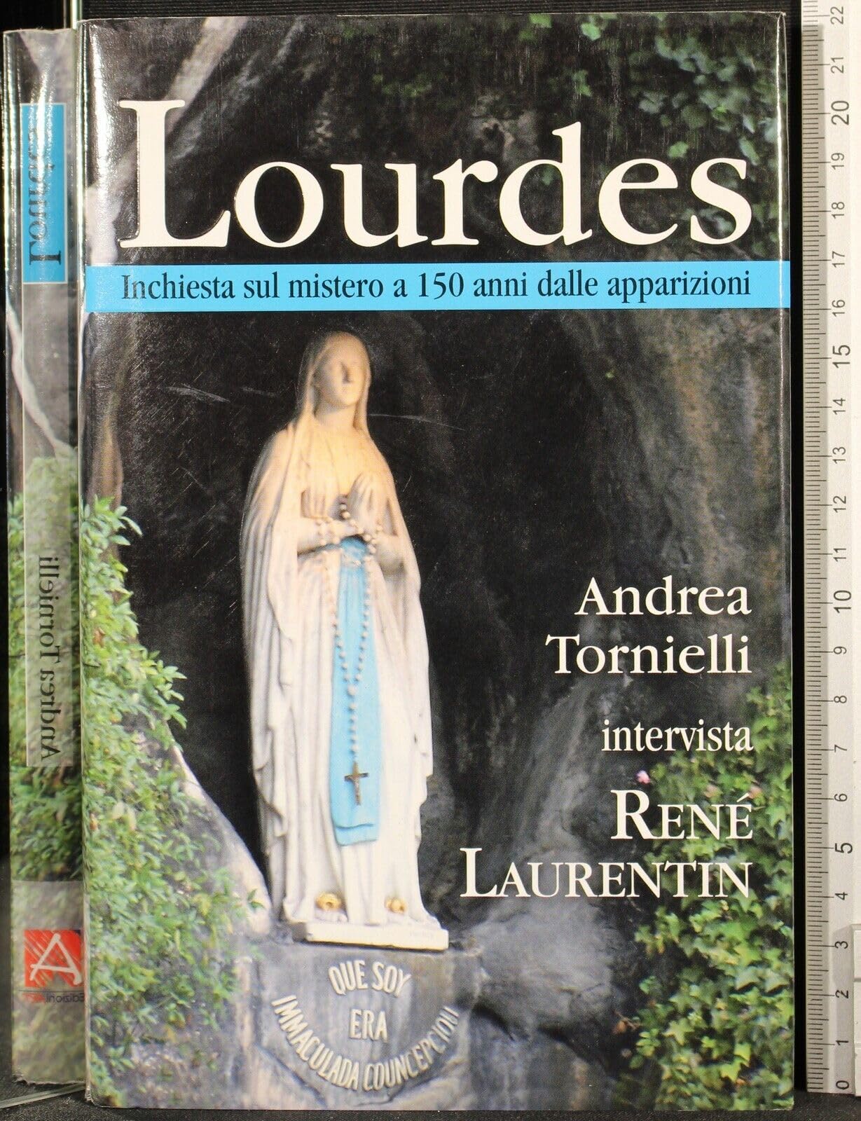 Lourdes. Inchiesta sul mistero a 150 anni dalle apparizioni book