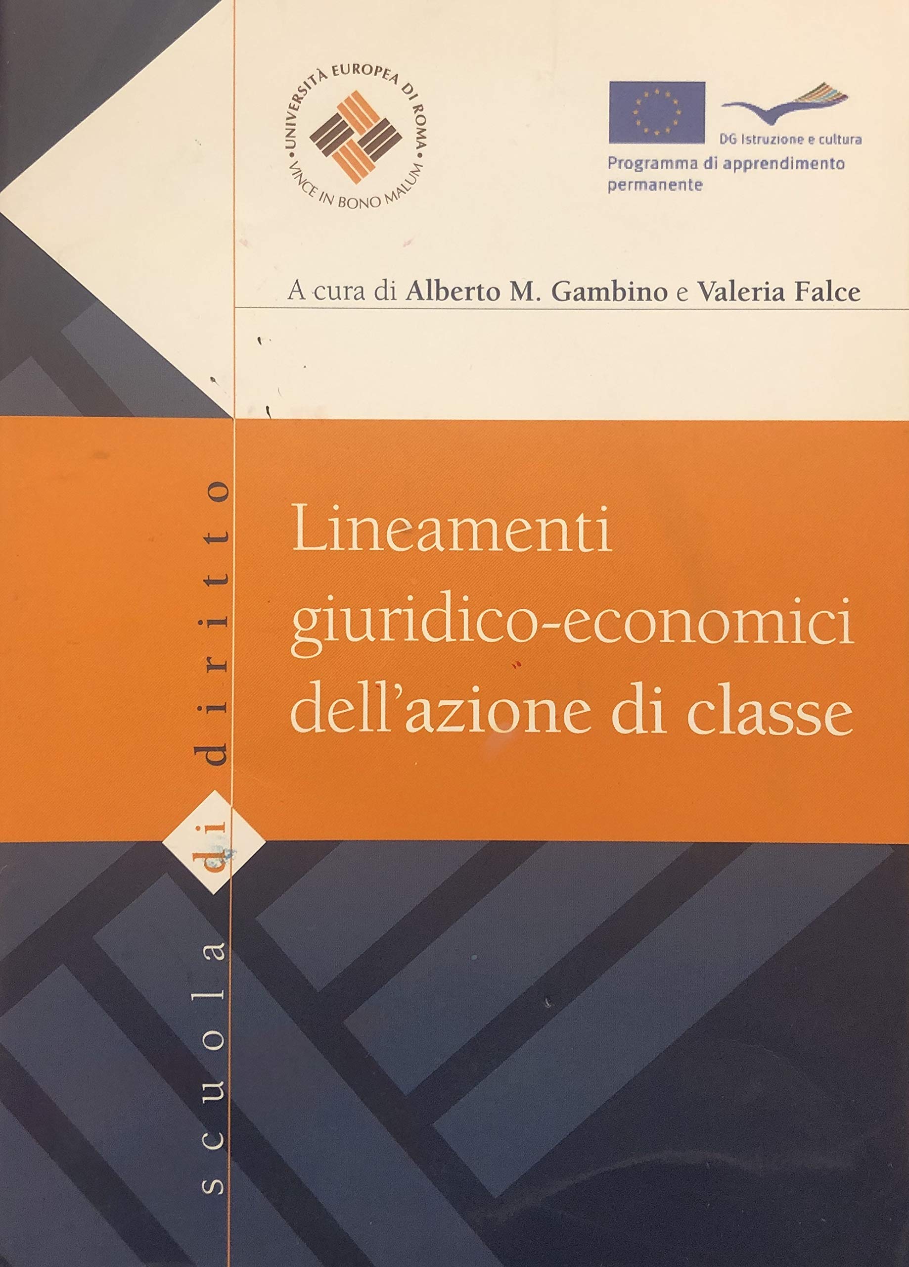 Lineamenti giuridico-economici dell'azione di classe book