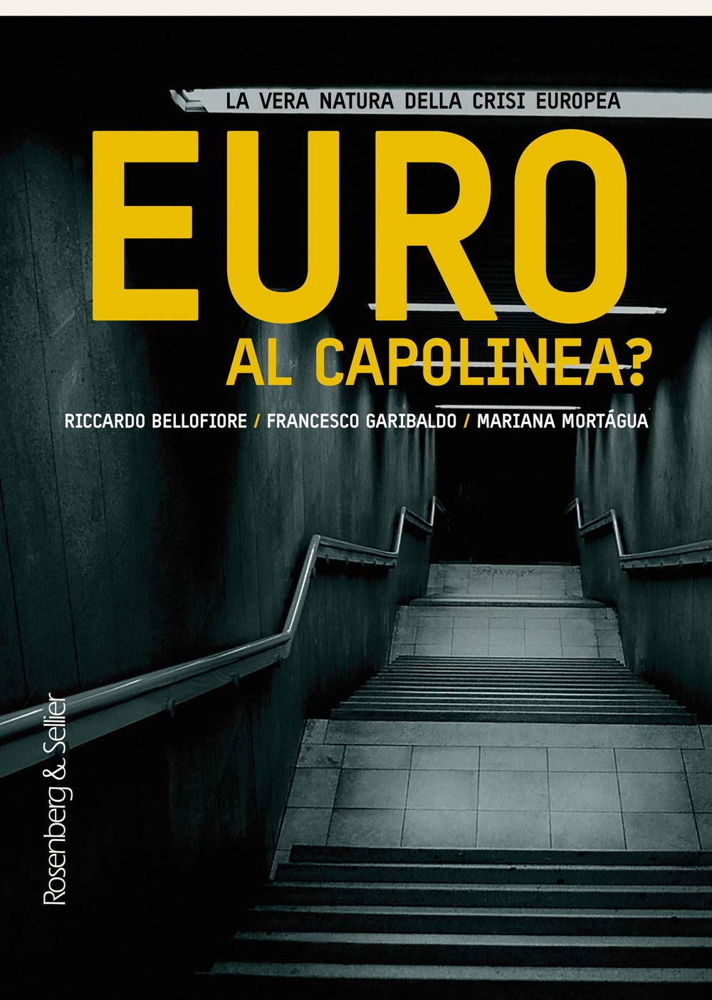 Euro al capolinea? La vera natura della crisi europea book