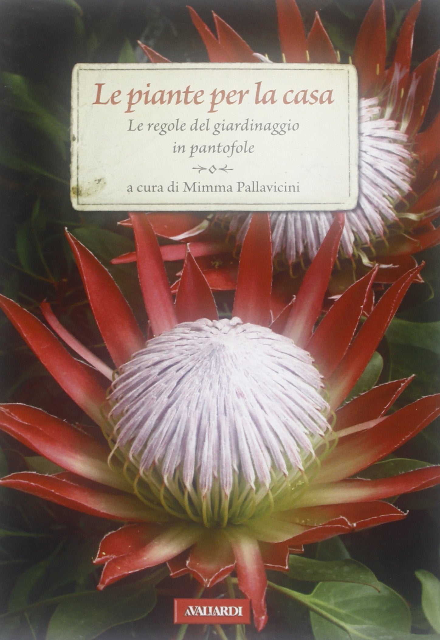 Le piante per la casa. Le regole del giardinaggio in pantofole. Ediz. illustrata book