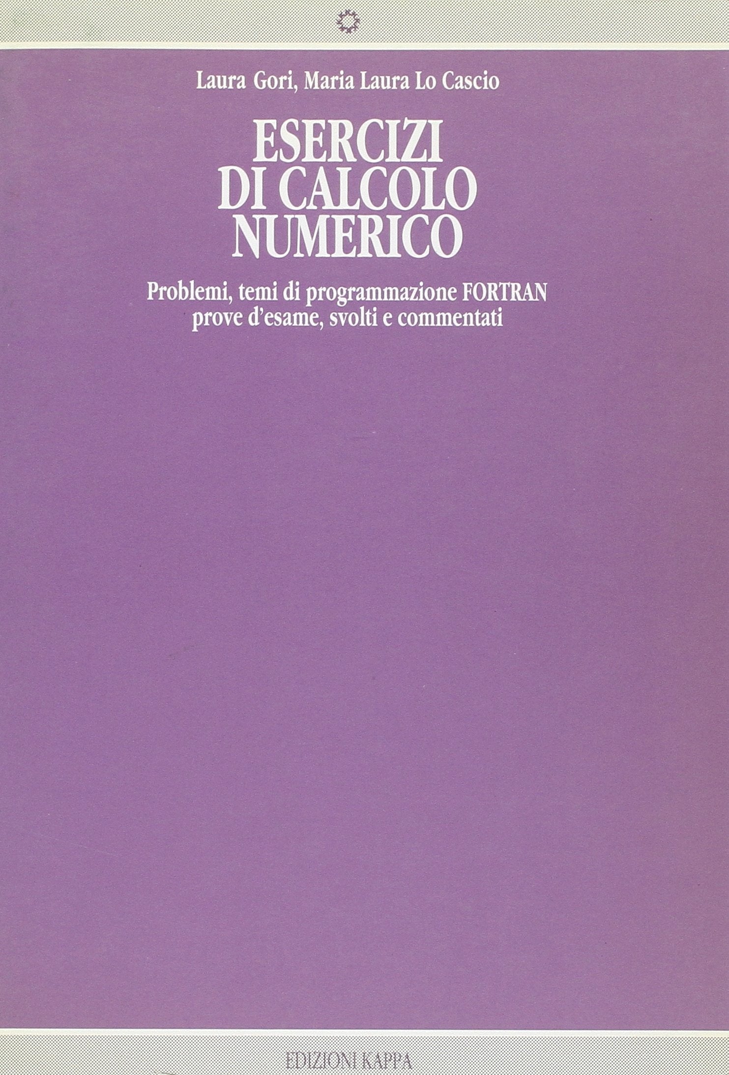 Esercizi di calcolo numerico. Problemi, temi di programmazione Fortran, prove d'esame, svolti e commentati book