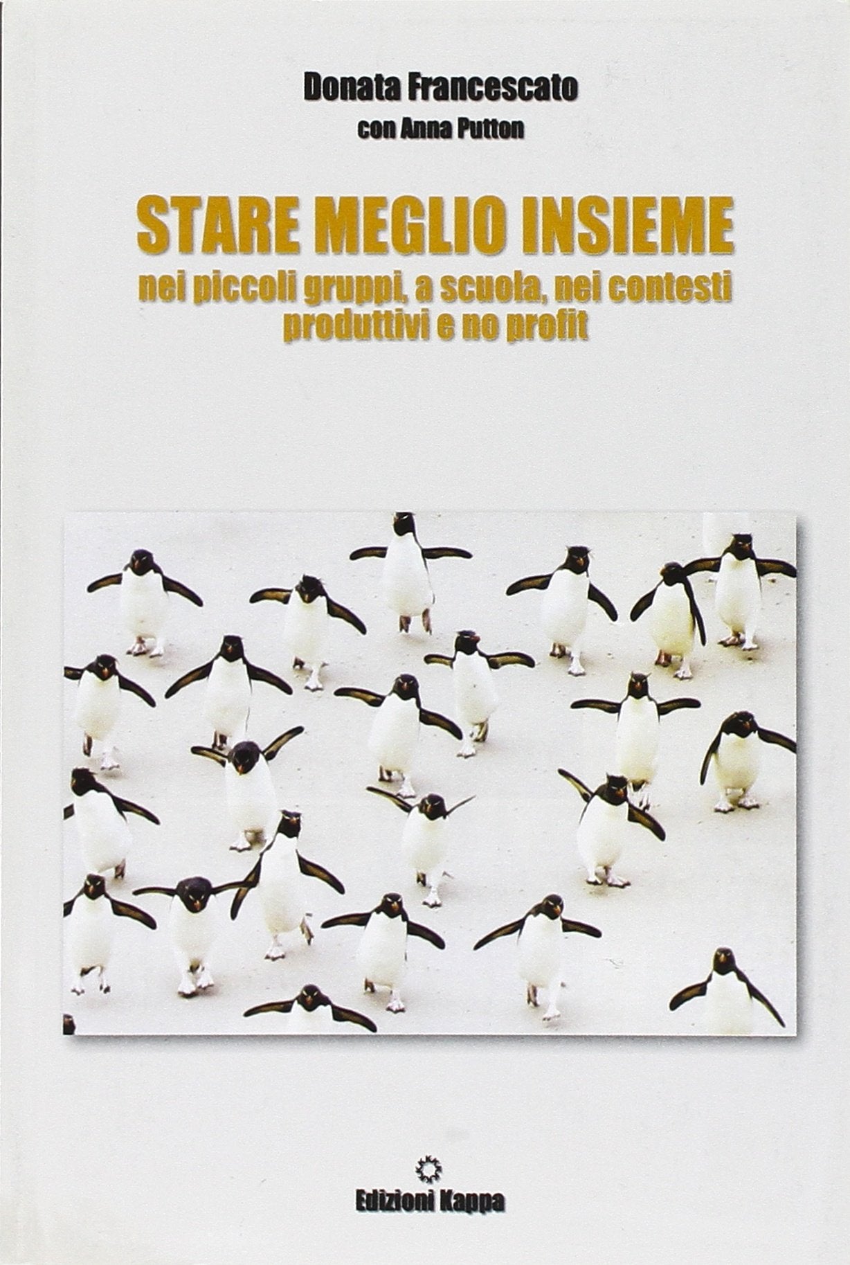 Stare Meglio Insieme Nei Piccoli Gruppi, a Scuola, Nei Contesti Produttivi E No Profit book