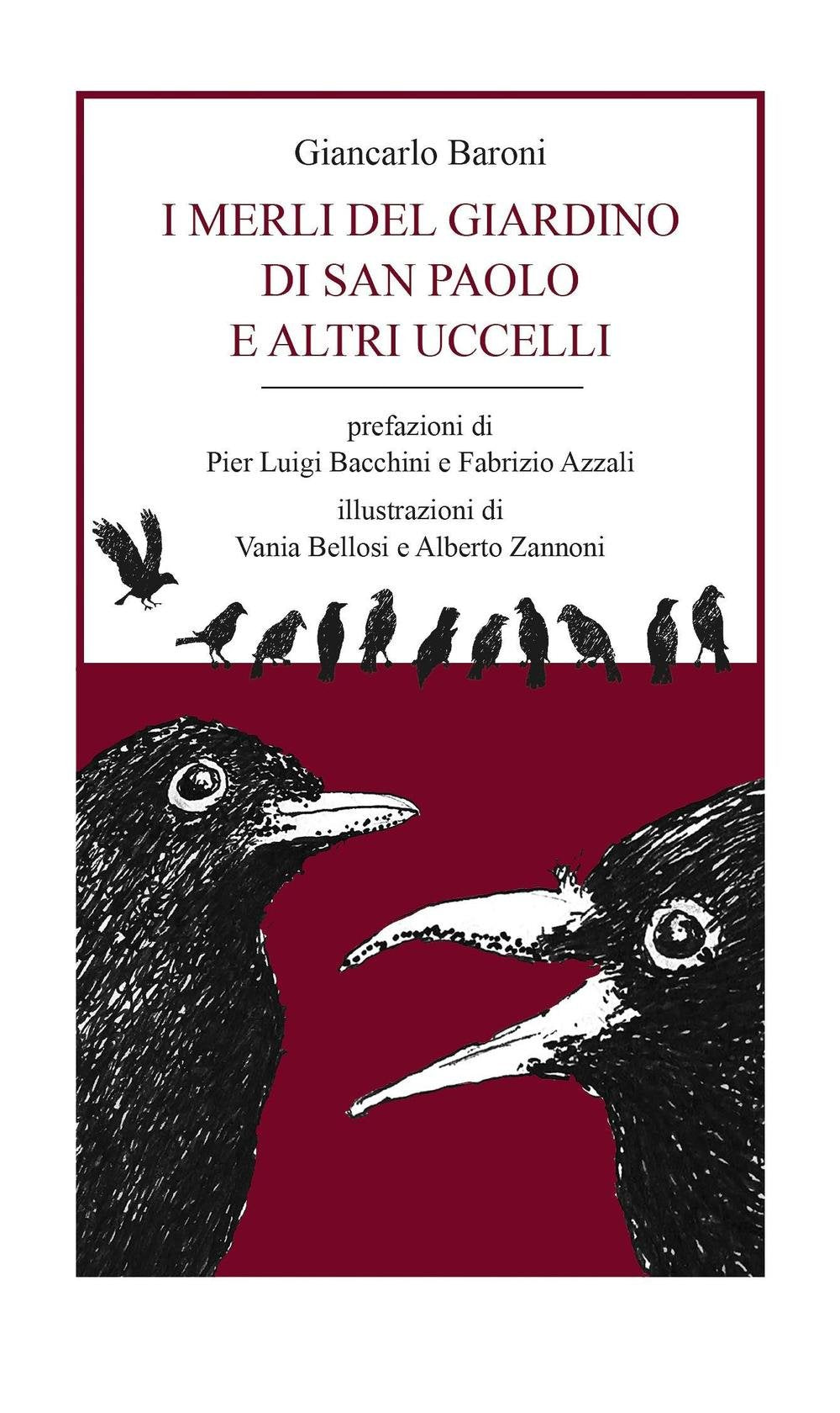 I merli del giardino di San Paolo e altri uccelli book