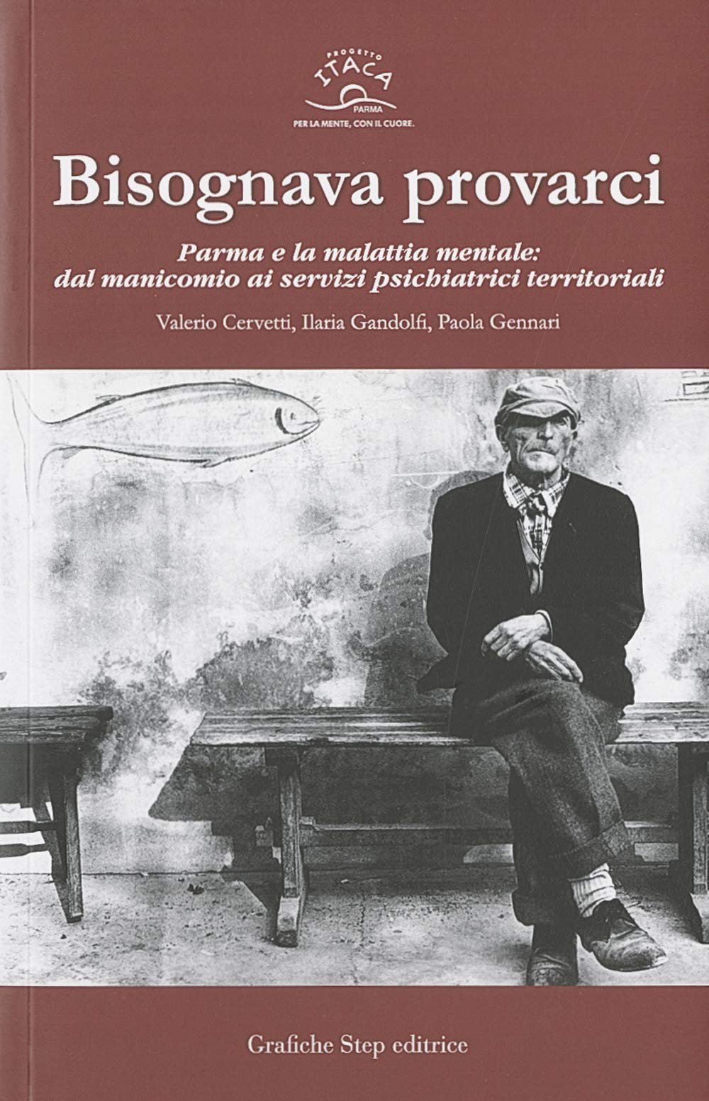 Bisognava provarci. Parma e la malattia mentale: dal manicomio ai servizi territoriali book