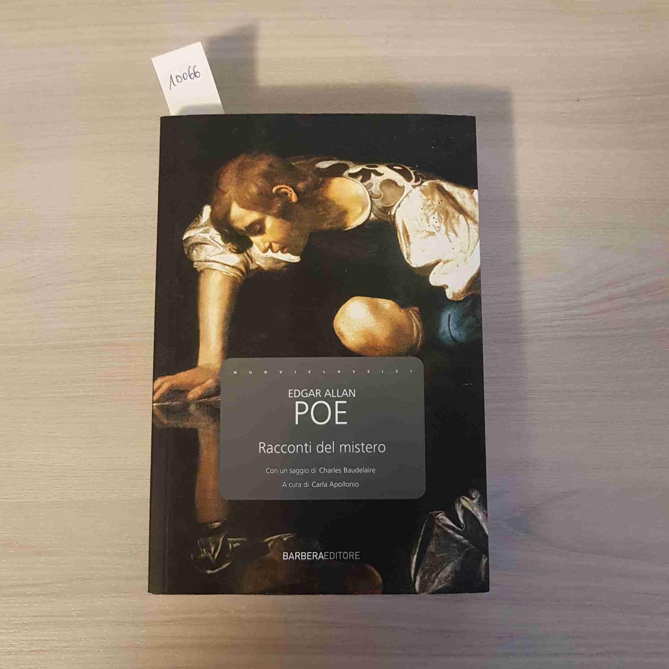 Il gabbiano Johnathan Livingstone per volare alti tutti i giorni book