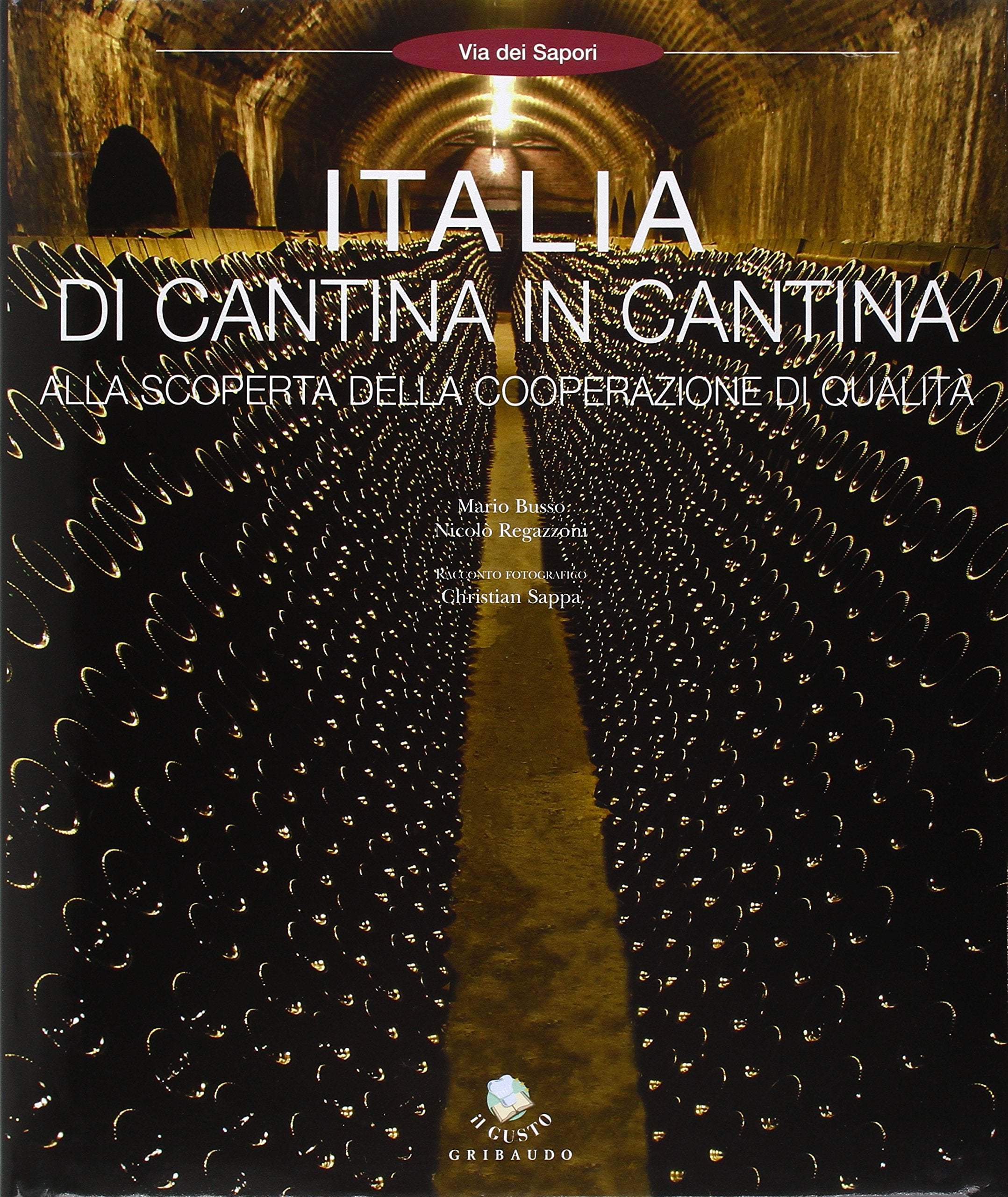 Italia di cantina in cantina. Ediz. illustrata book