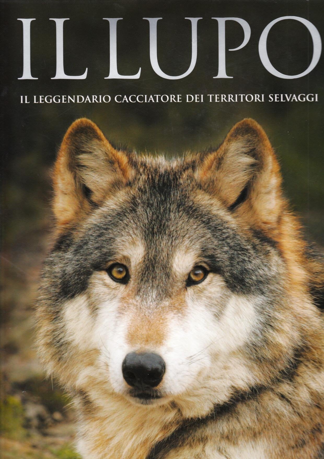 Il lupo. Il leggendario cacciatore dei territori selvaggi. Ediz. illustrata book
