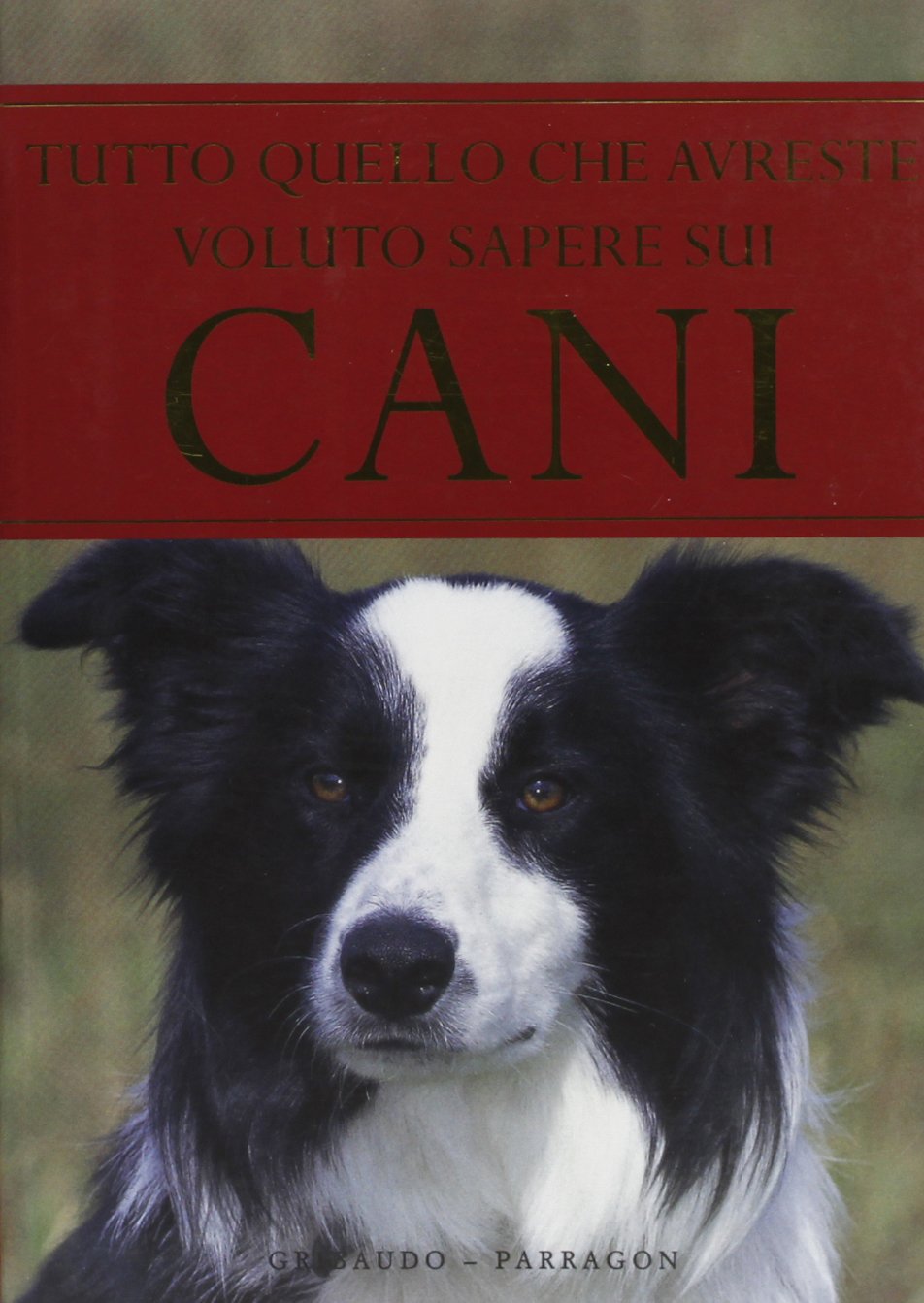 Tutto quello che avreste voluto sapere sui cani book