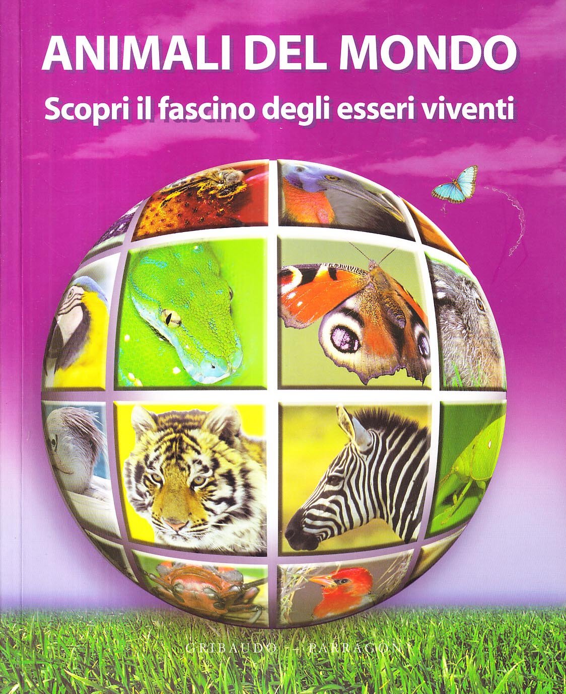 Gli animali del mondo. Scopri il fascino degli esseri viventi. Ediz. illustrata book