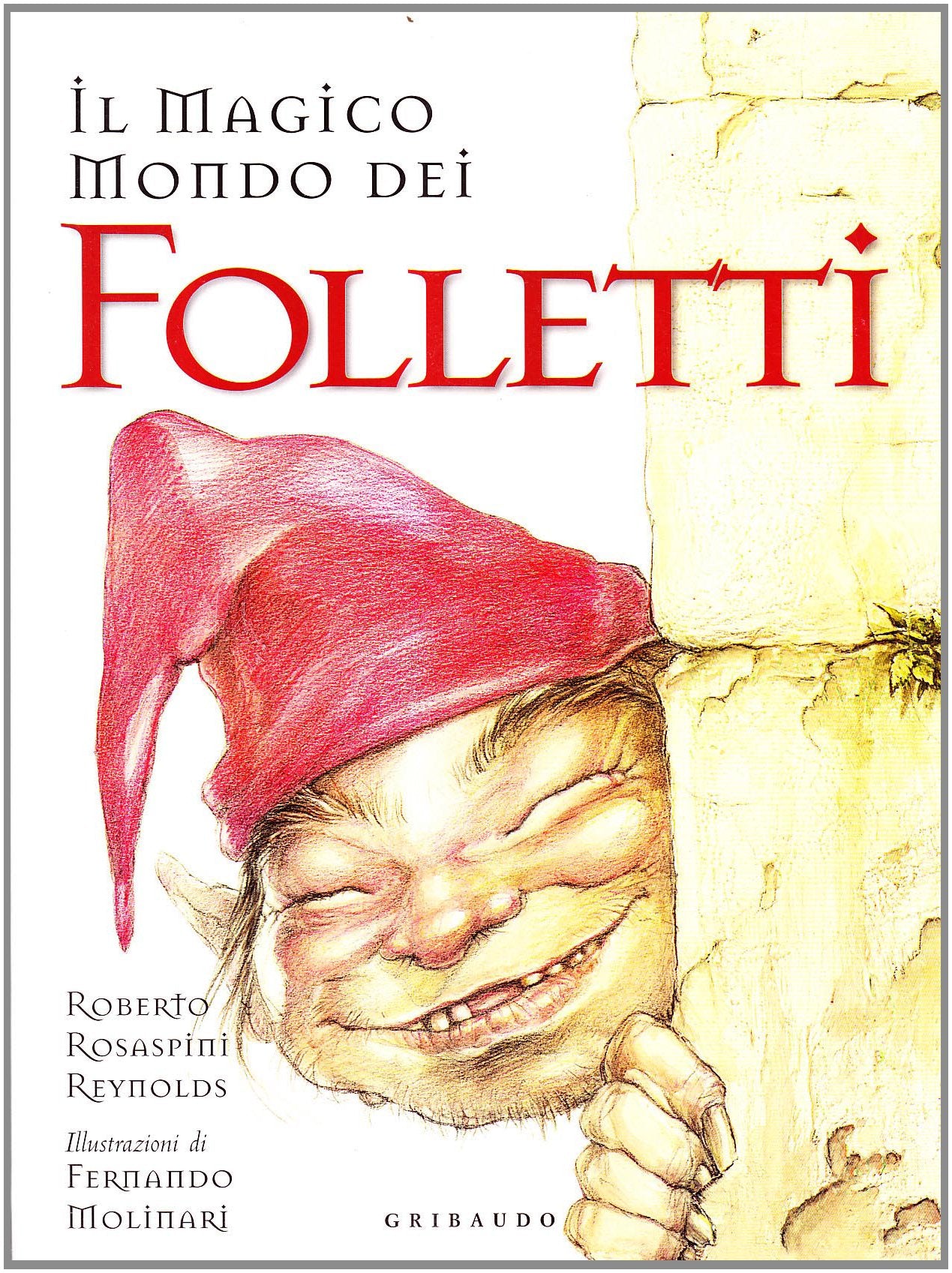 Il magico mondo dei folletti book