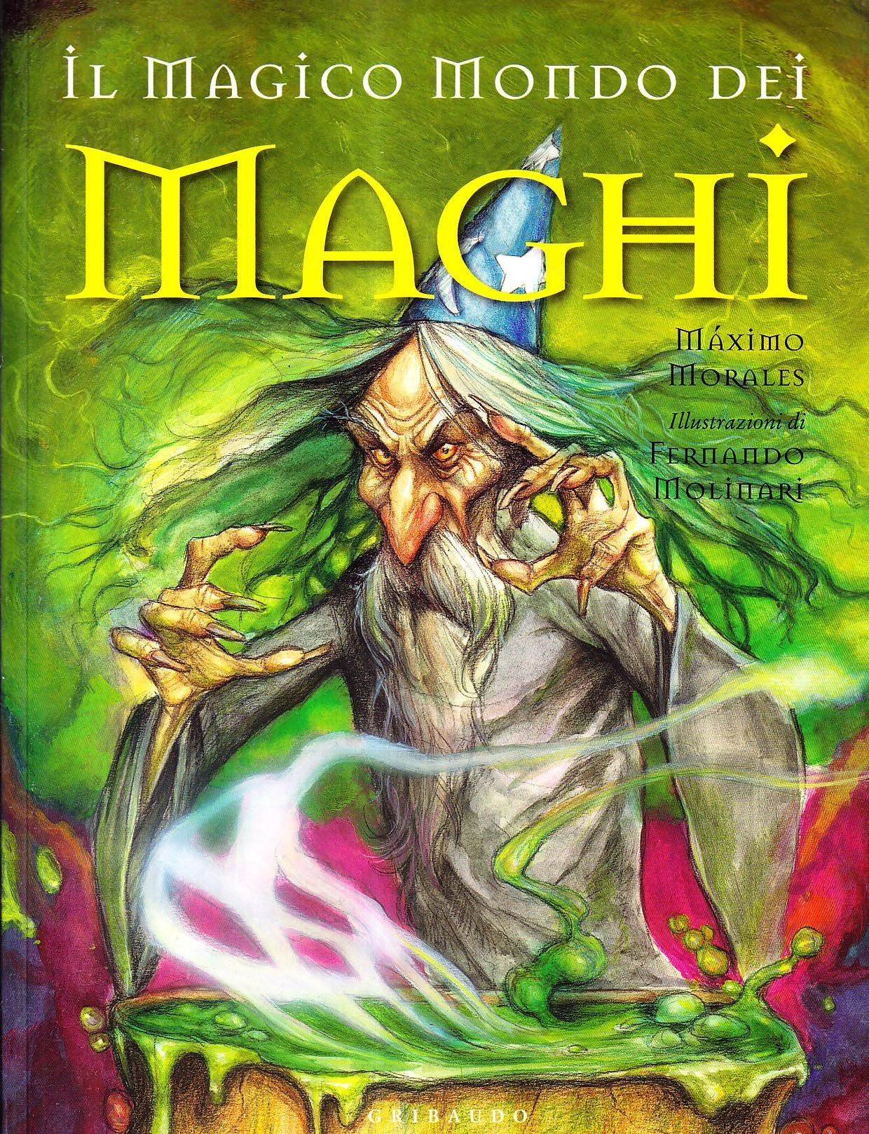 Il magico mondo dei maghi book