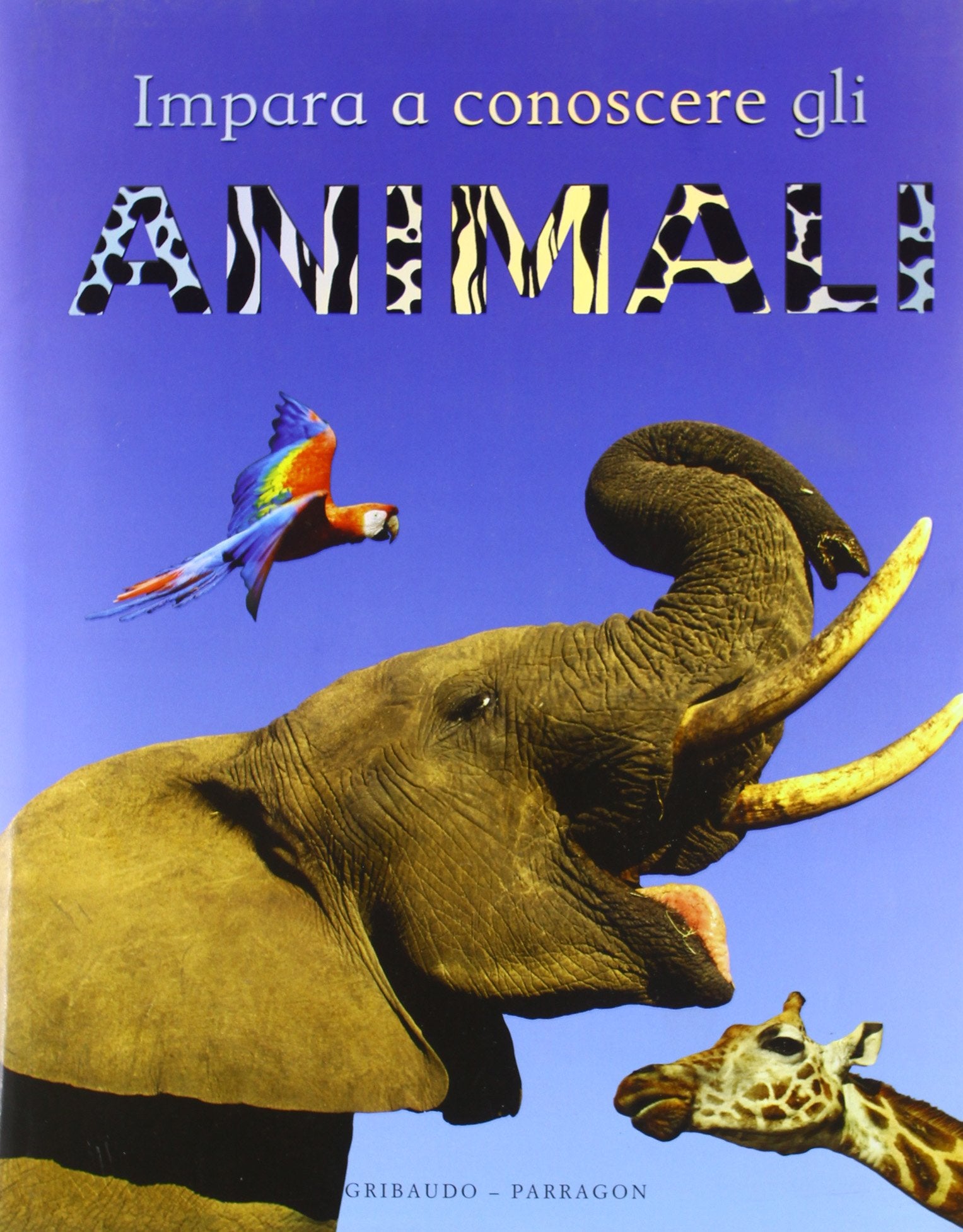 Impara a conoscere gli animali. Ediz. illustrata Non-fiction