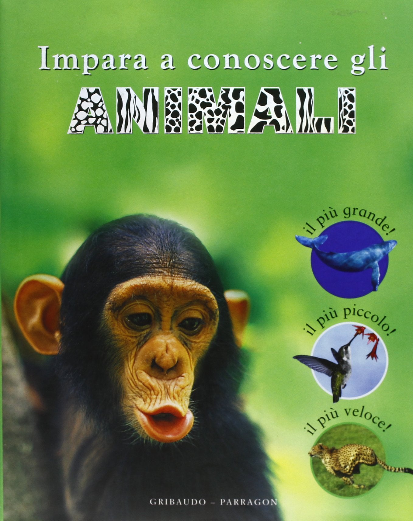 Impara a conoscere gli animali (Enciclopedia) Non-fiction
