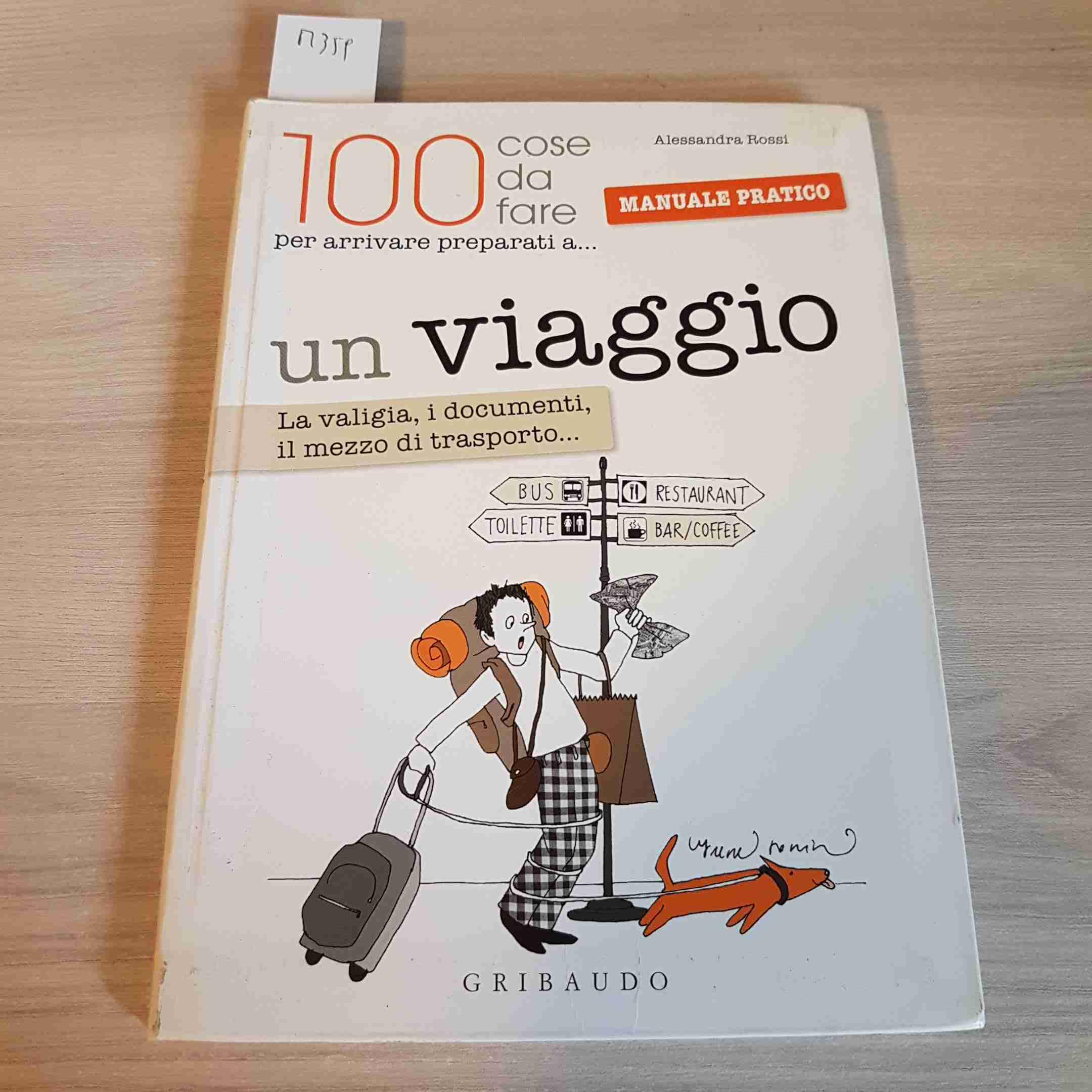 Un viaggio. La valigia, i documenti, il mezzo di trasporto... book