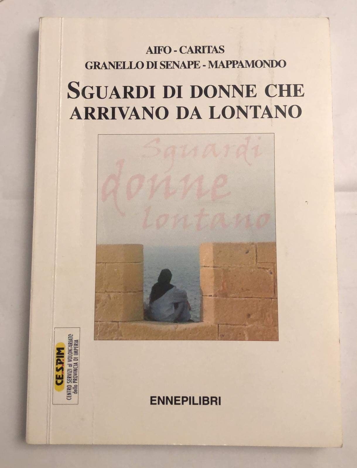 Sguardi di donne che arrivano da lontano. Donne protagoniste della loro storia book
