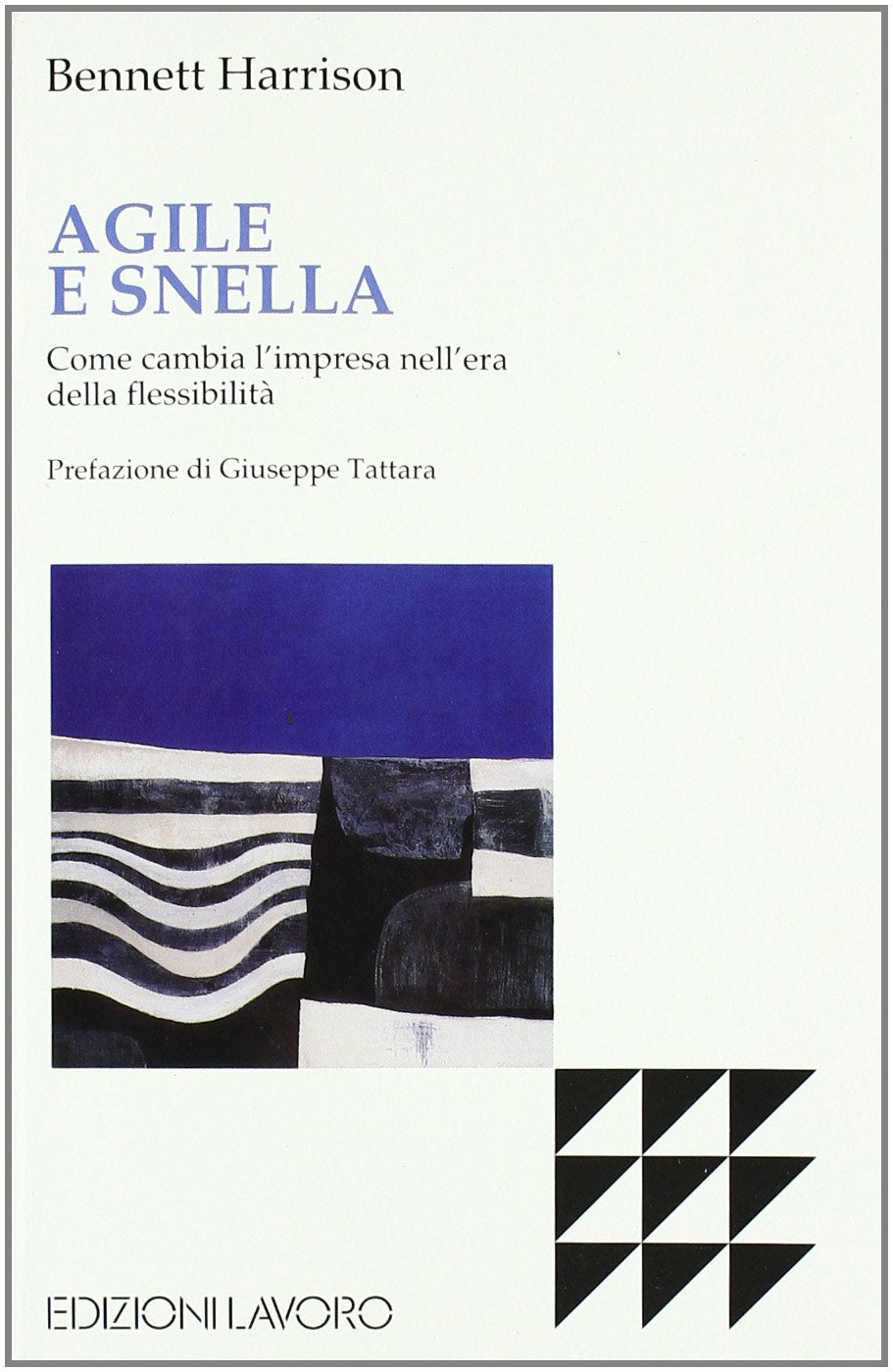 Agile e snella. Come cambia l'impresa nell'era della flessibilità book