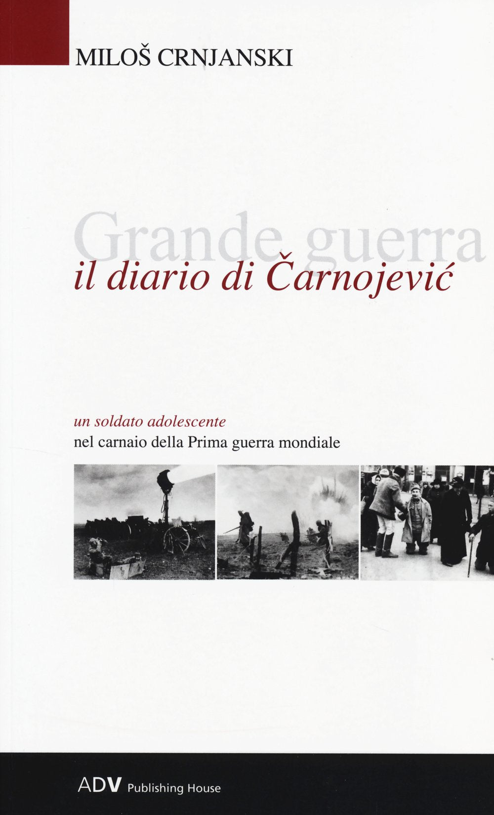 Il diario di Carnojevic (Scritture e storia) Essays & Short Stories