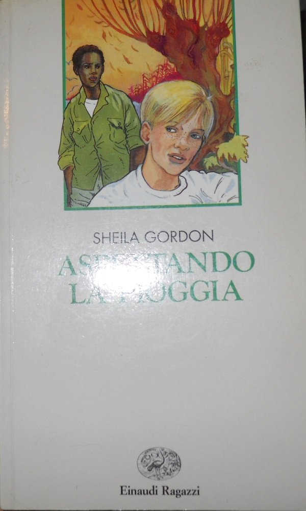 Aspettando la pioggia (Narrativa) Novels & Short Stories