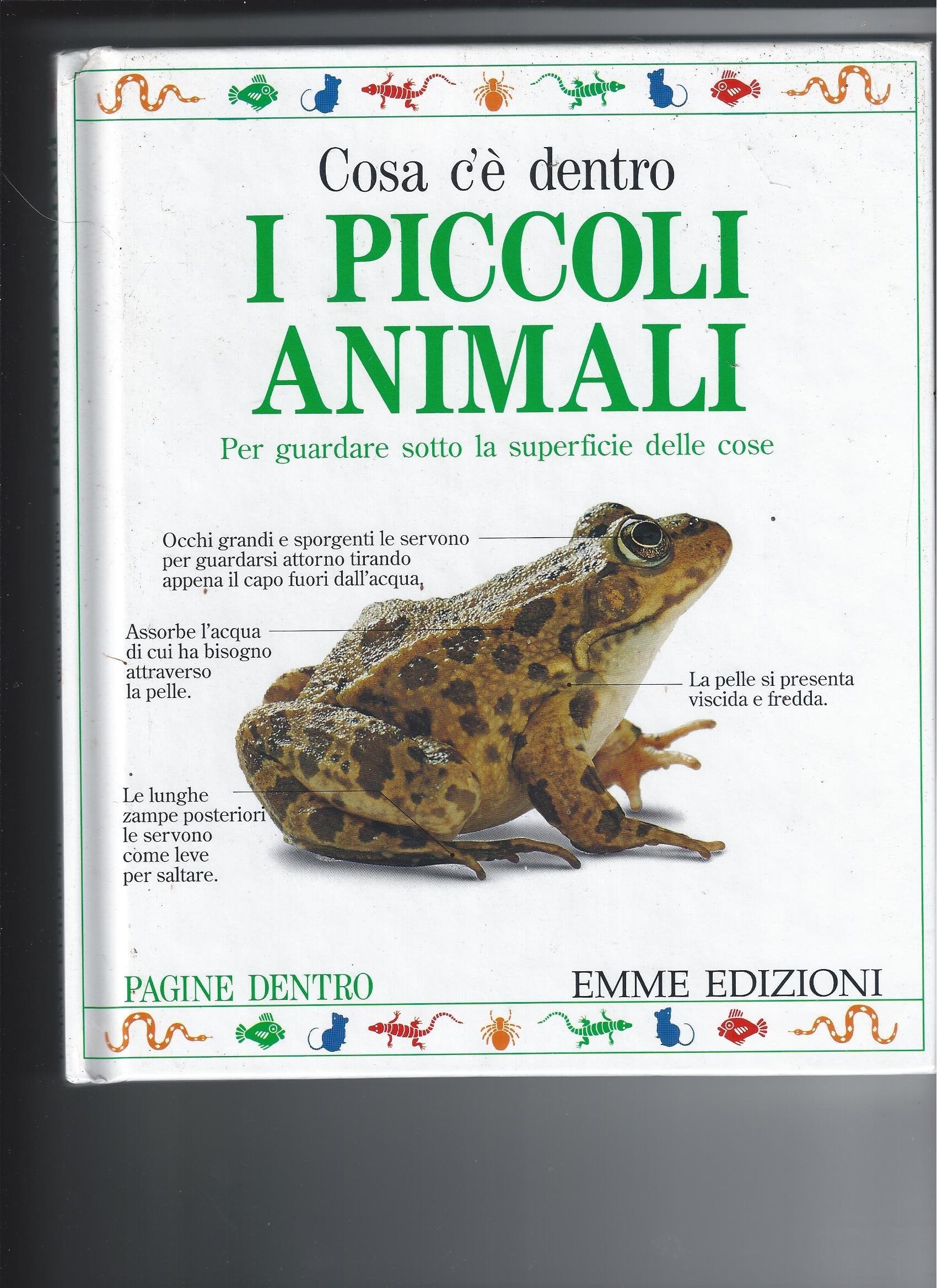 Cosa c'è dentro i piccoli animali book