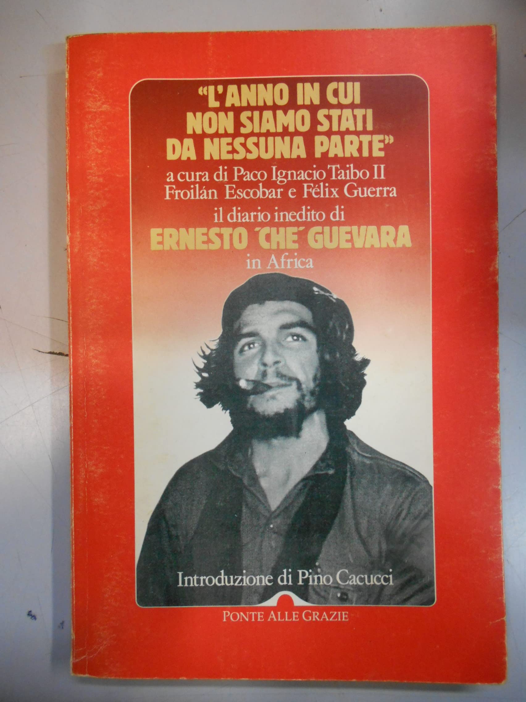 L'anno in cui non siamo stati da nessuna parte book