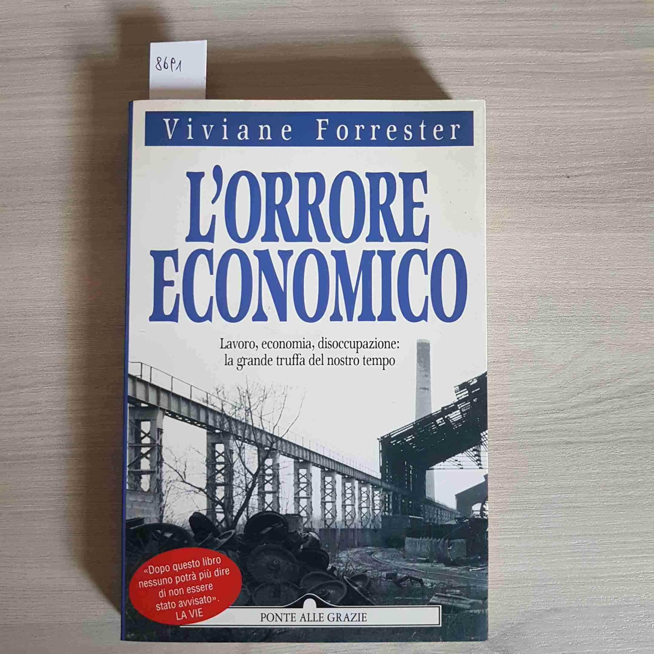 L'orrore economico. Lavoro, economia, disoccupazione: la grande truffa del nostro tempo (Saggi) Books