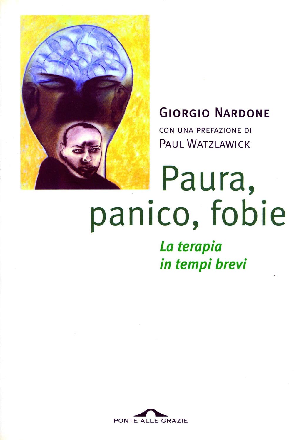 Paura panico fobie.: La Terapia in tempi brevi book