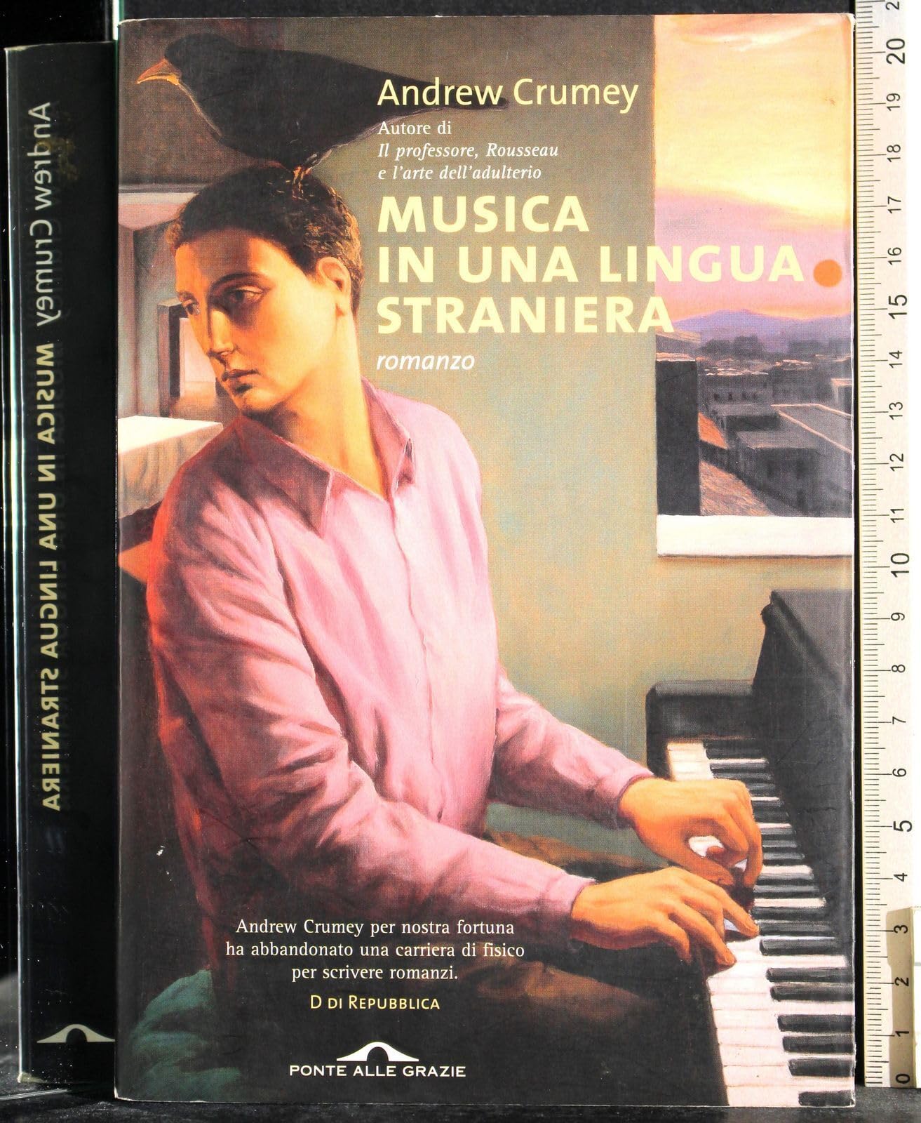 Musica in una lingua straniera book