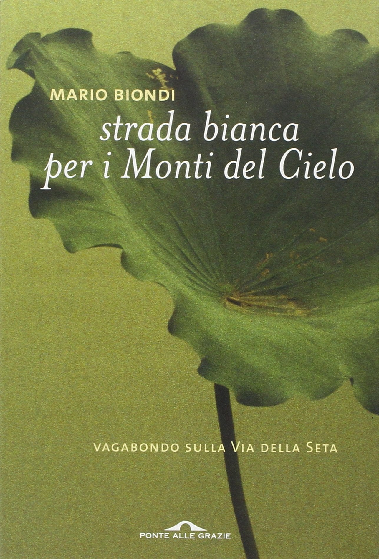 Strada bianca per i monti del cielo. Vagabondo sulla Via della seta book