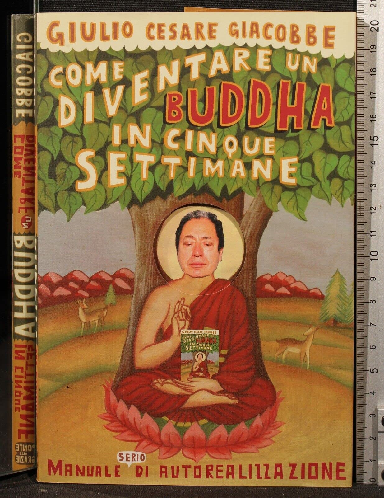 Come diventare un Buddha in cinque settimane. Manuale serio di autorealizzazione Religion & Esotericism
