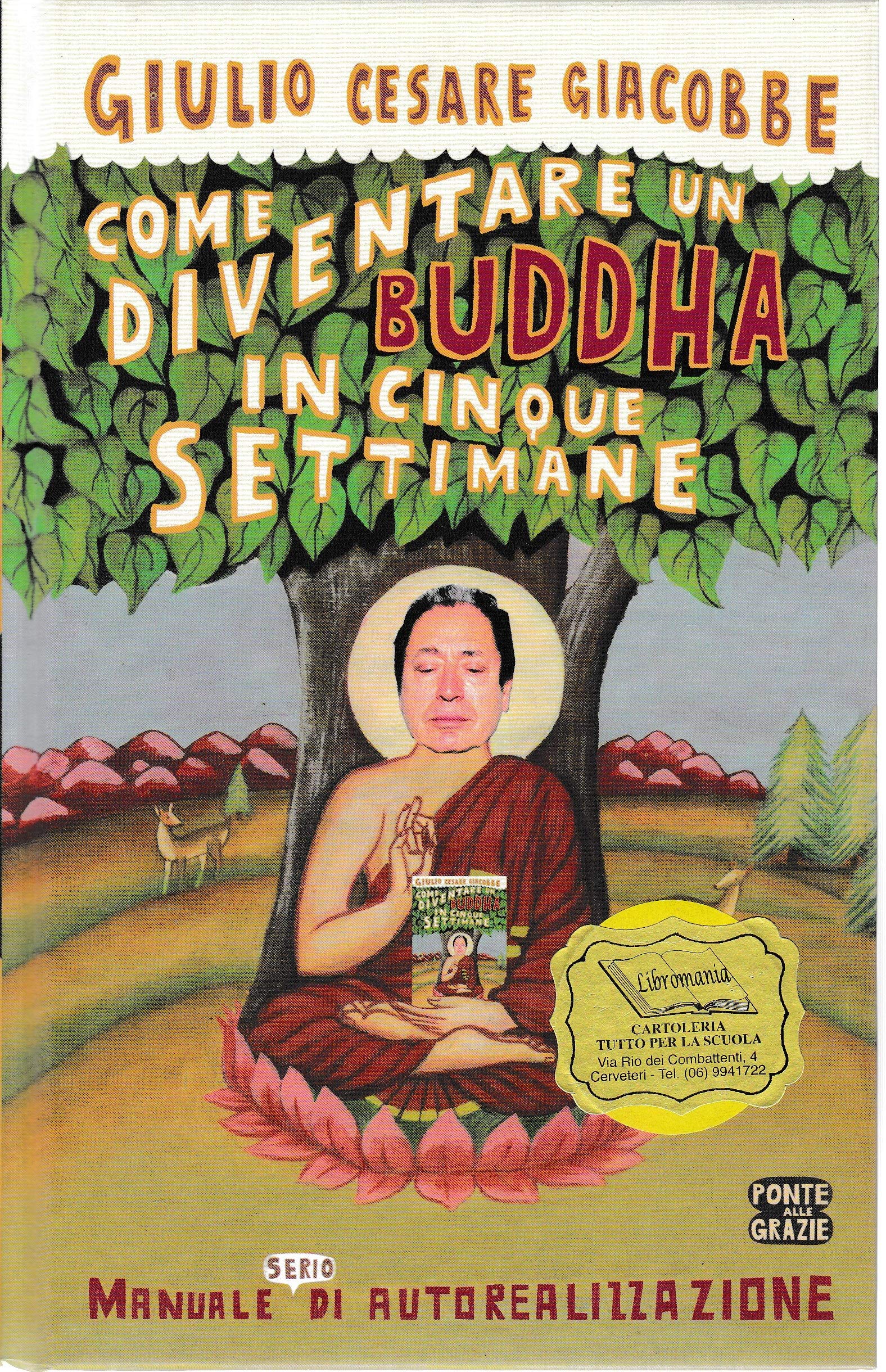 Come diventare un Buddha in cinque settimane. Manuale serio di autorealizzazione Psychology