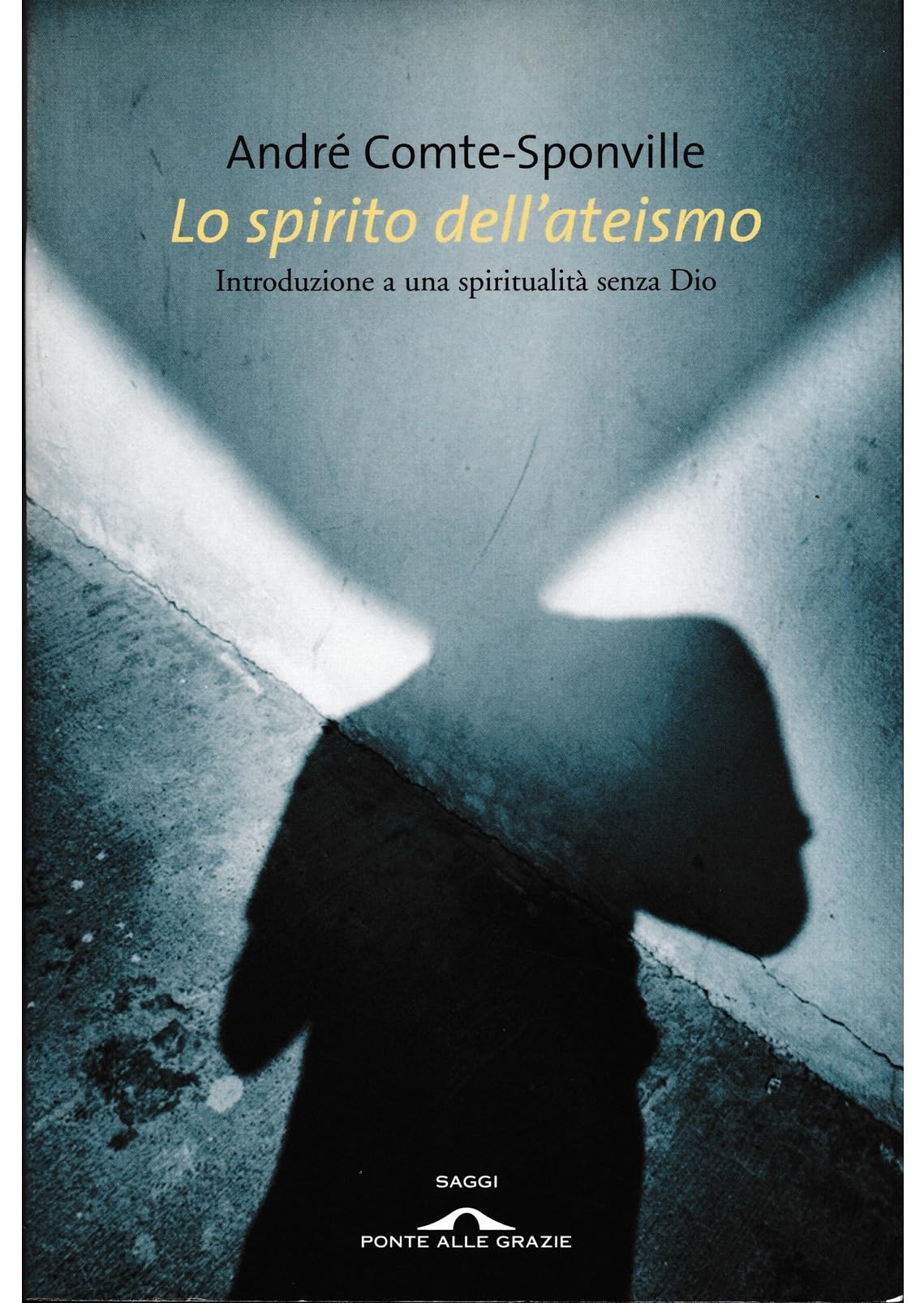 Lo Spirito Dell'Ateismo.: Introduzione a Una Spiritualità Senza Dio book