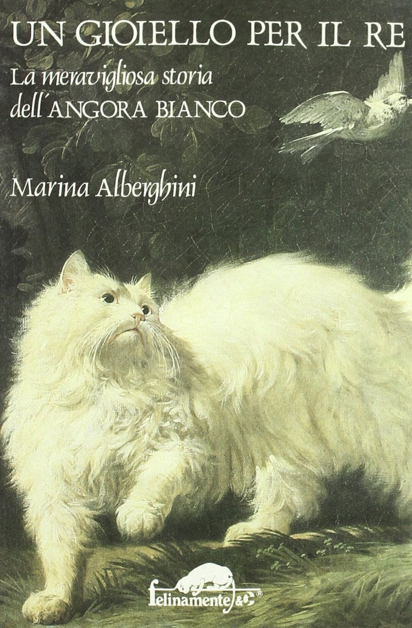 Un gioiello per il re. La meravigliosa storia dell'angora bianco book