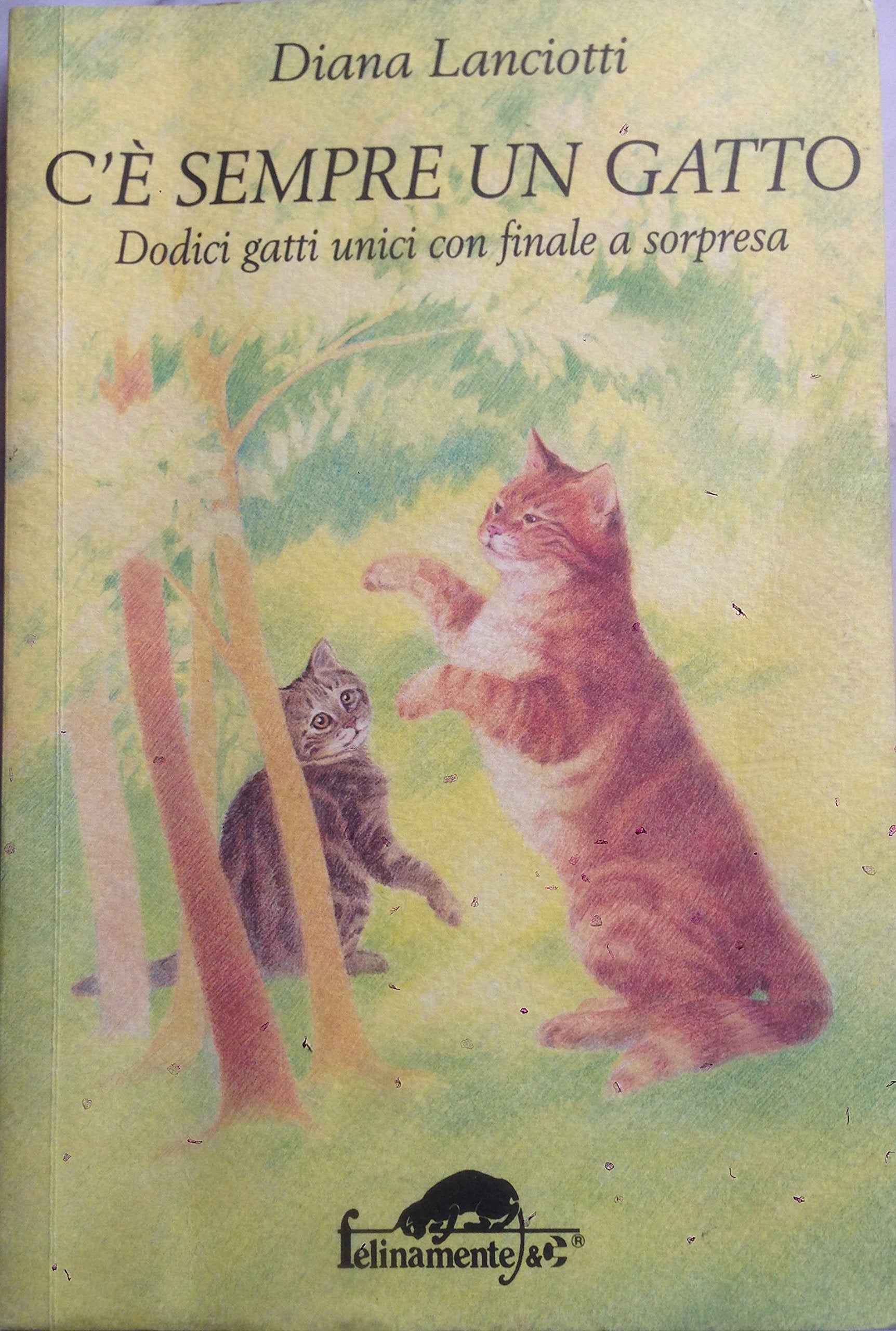 C'è sempre un gatto. Dodici gatti unici con finale a sorpresa book