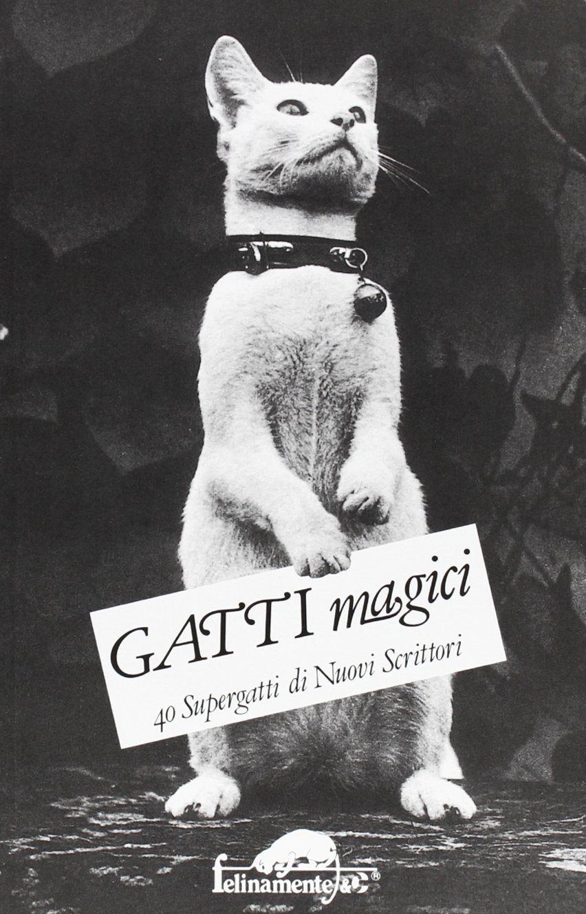 Gatti magici. 40 supergatti di nuovi scrittori book