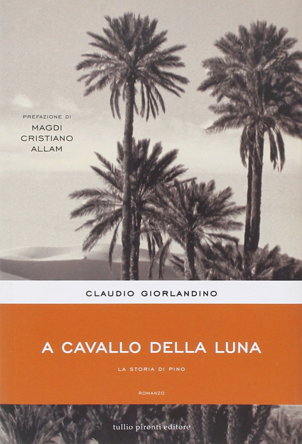A cavallo della luna. La storia di Pino book