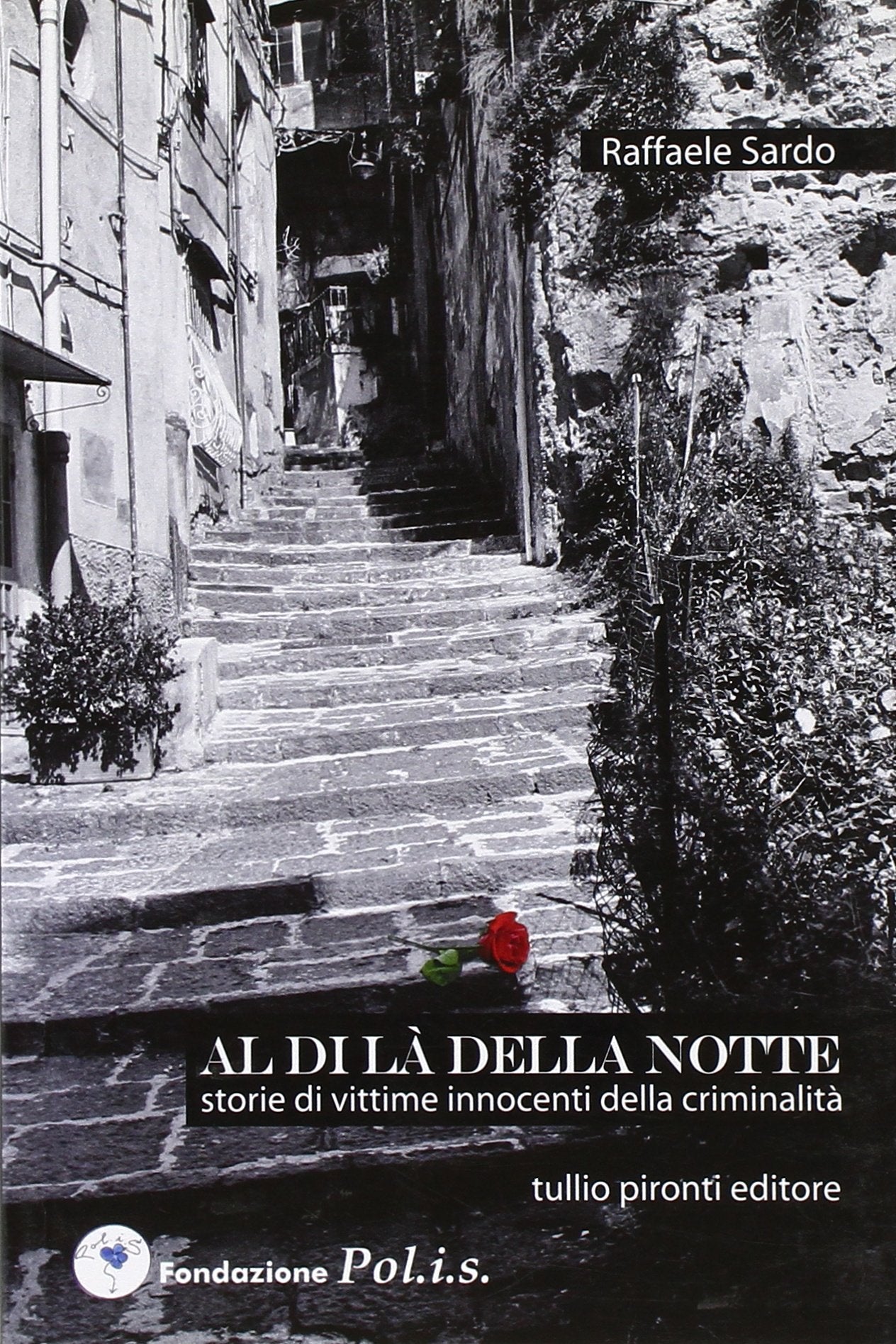 Al di là della notte. Storie di vittime innocenti di criminalità Social Sciences