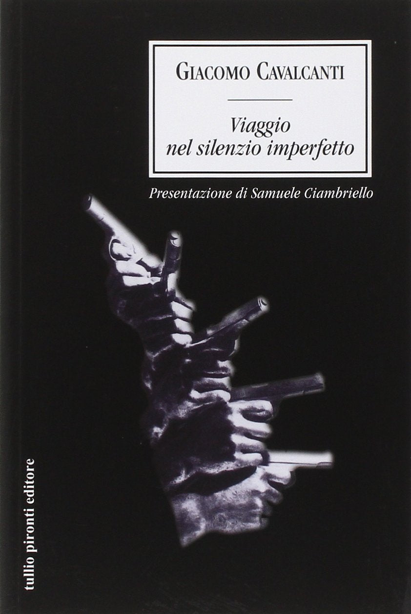 Viaggio nel silenzio imperfetto book