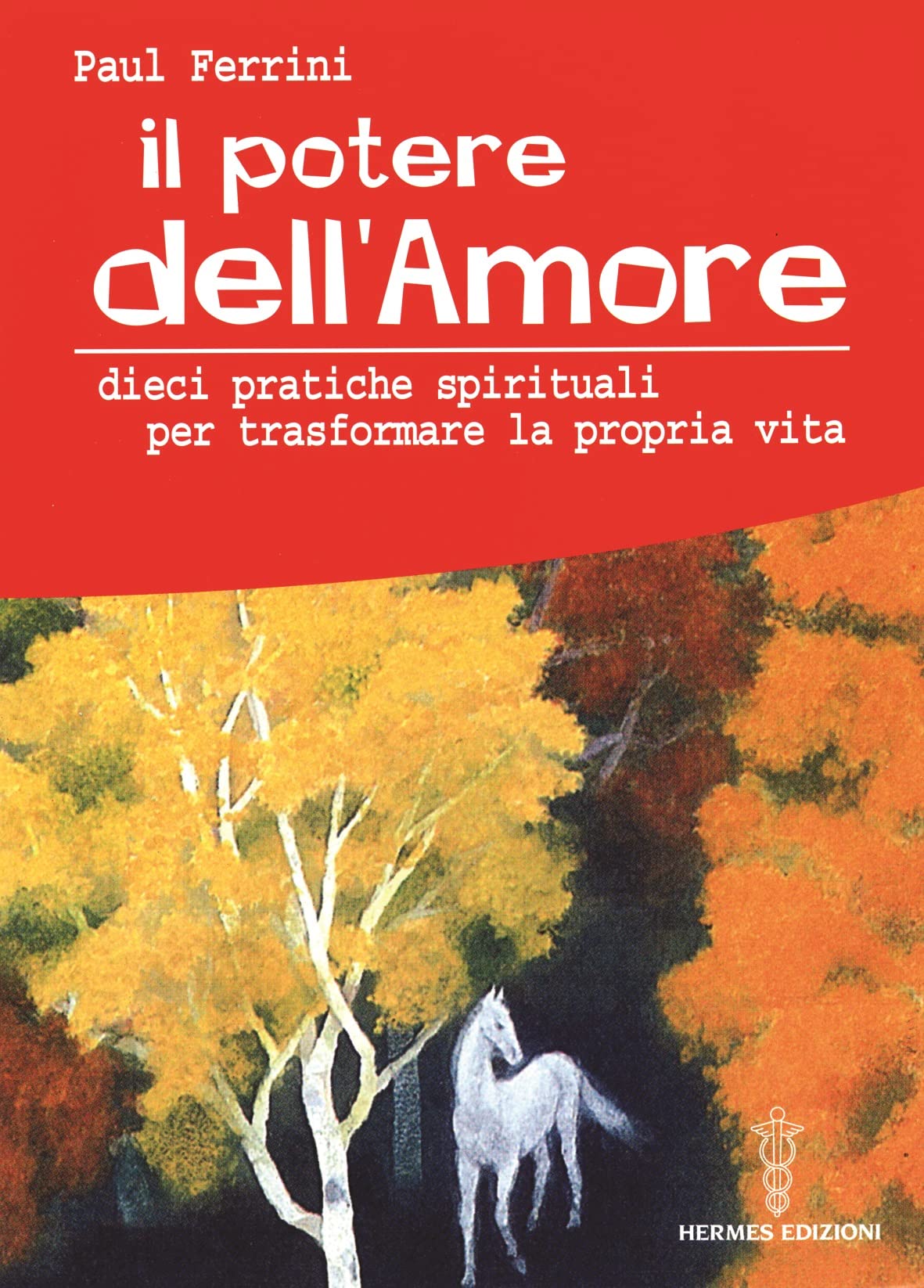 Il potere dell'amore. 10 pratiche spirituali per trasformare la propria vita Social Sciences