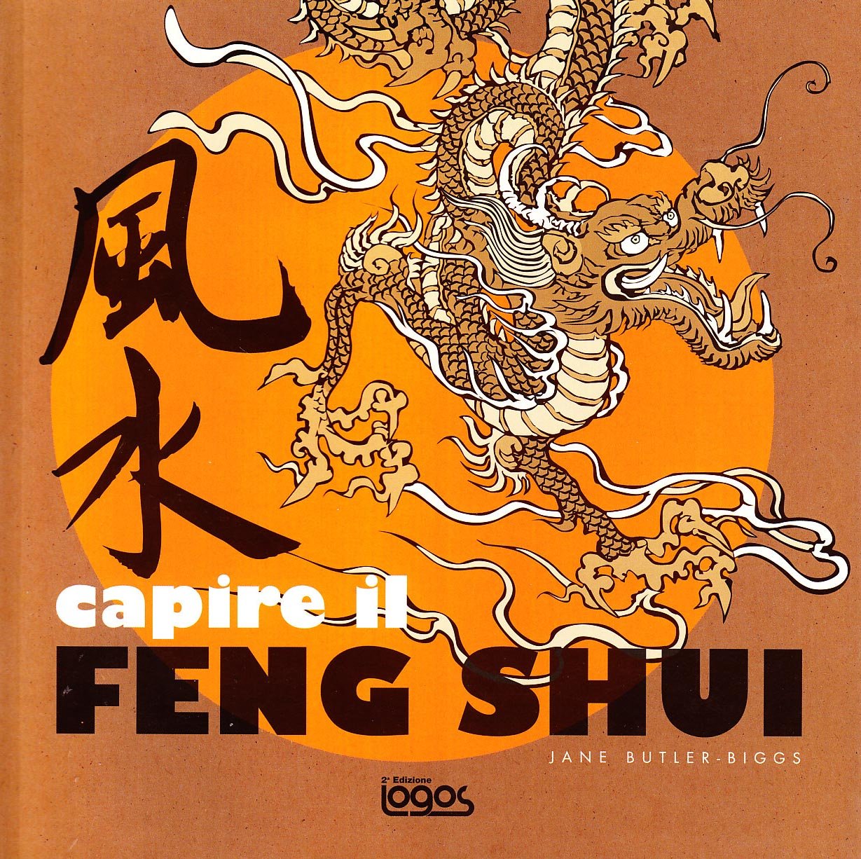 Capire il feng shui. Ediz. illustrata book